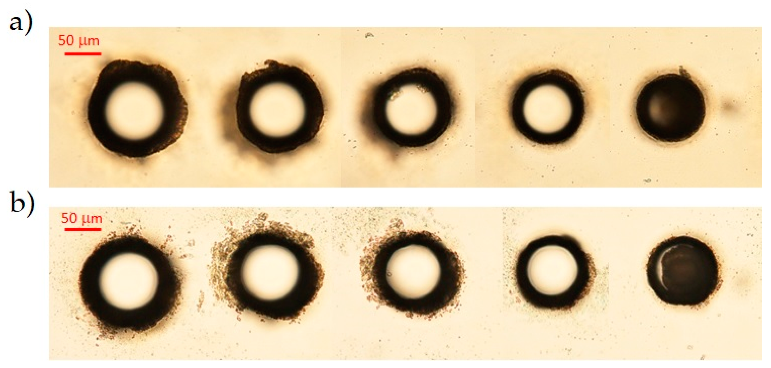 Micromachines 12 00455 g002