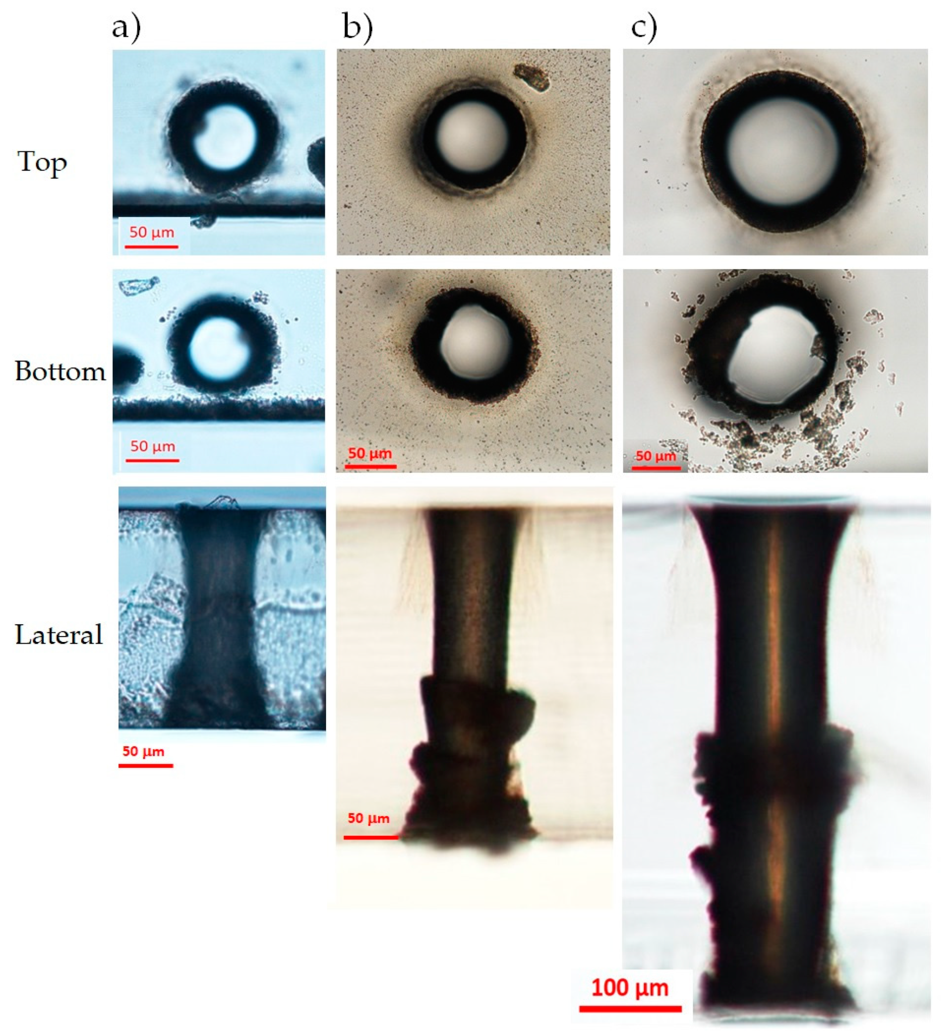 Micromachines 12 00455 g005