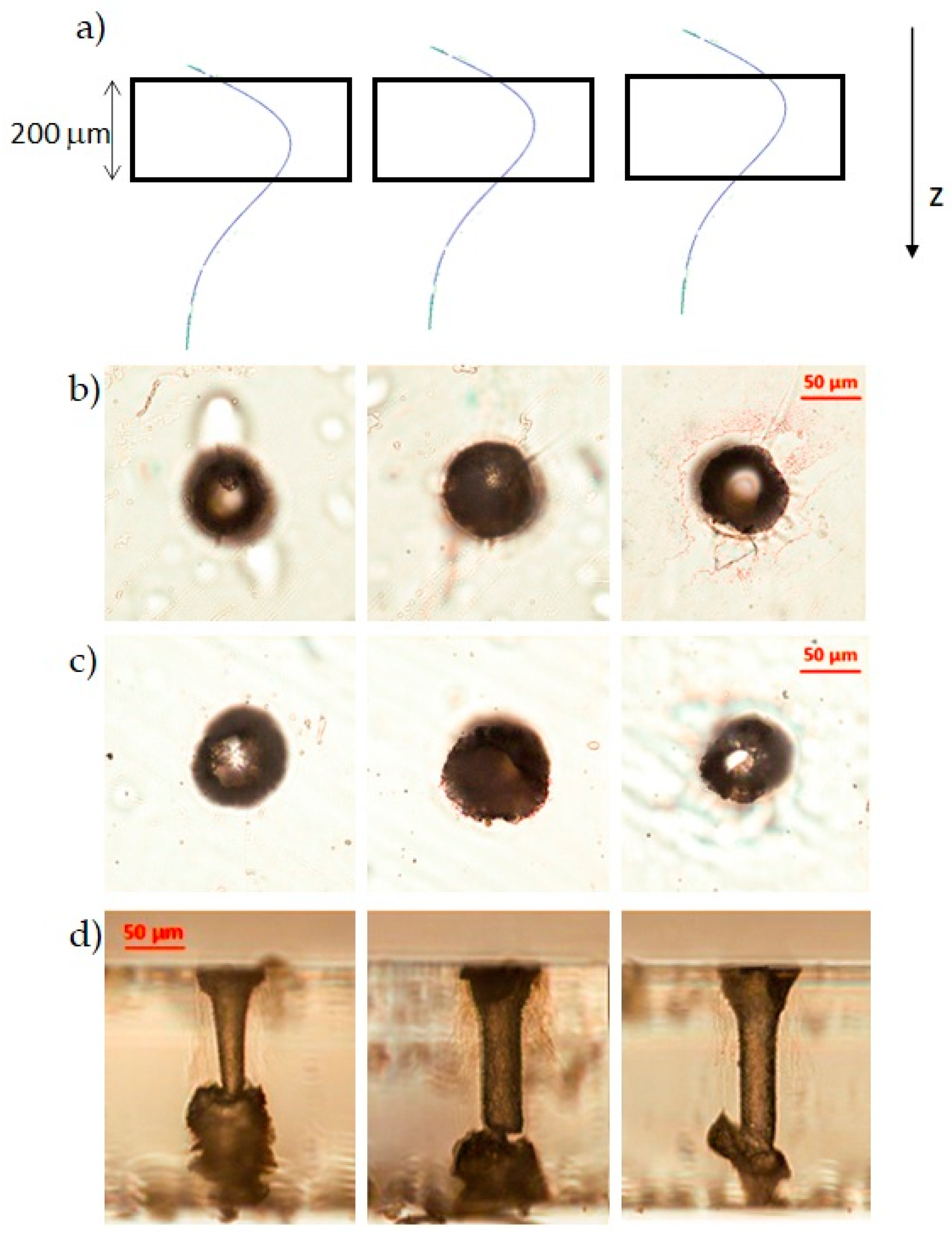 Micromachines 12 00455 g007