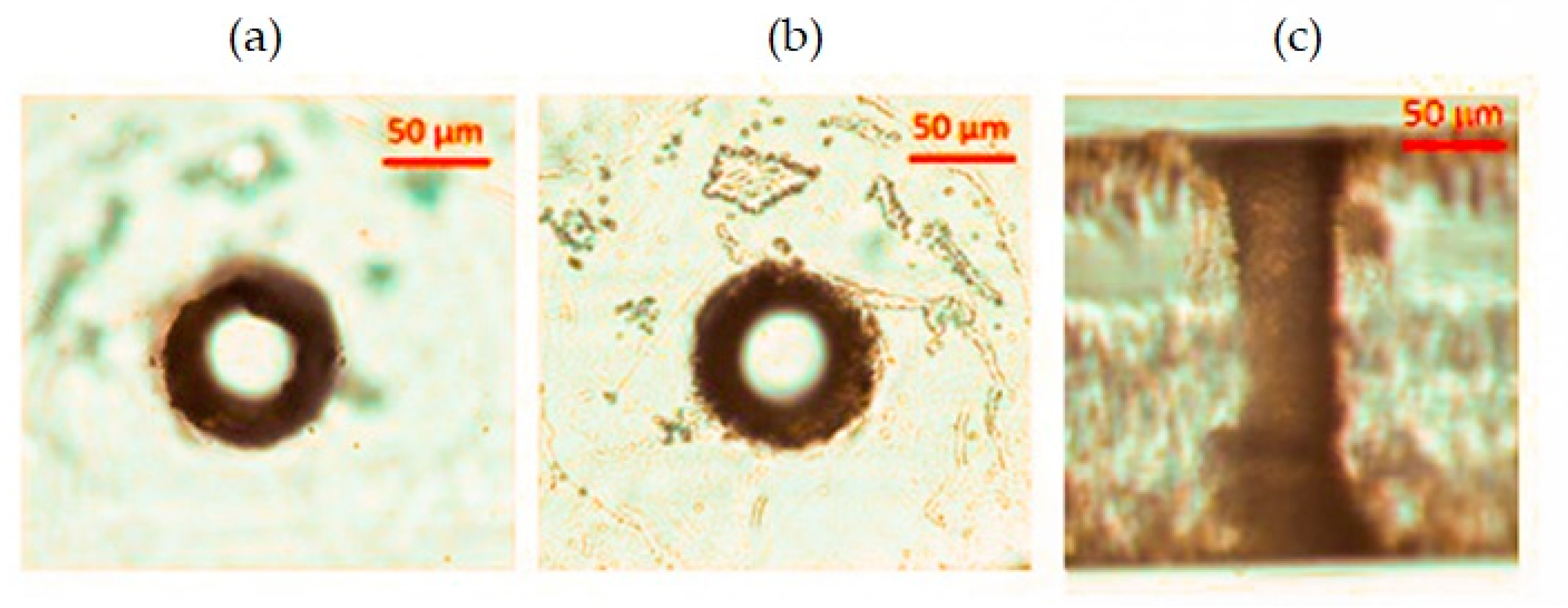 Micromachines 12 00455 g008