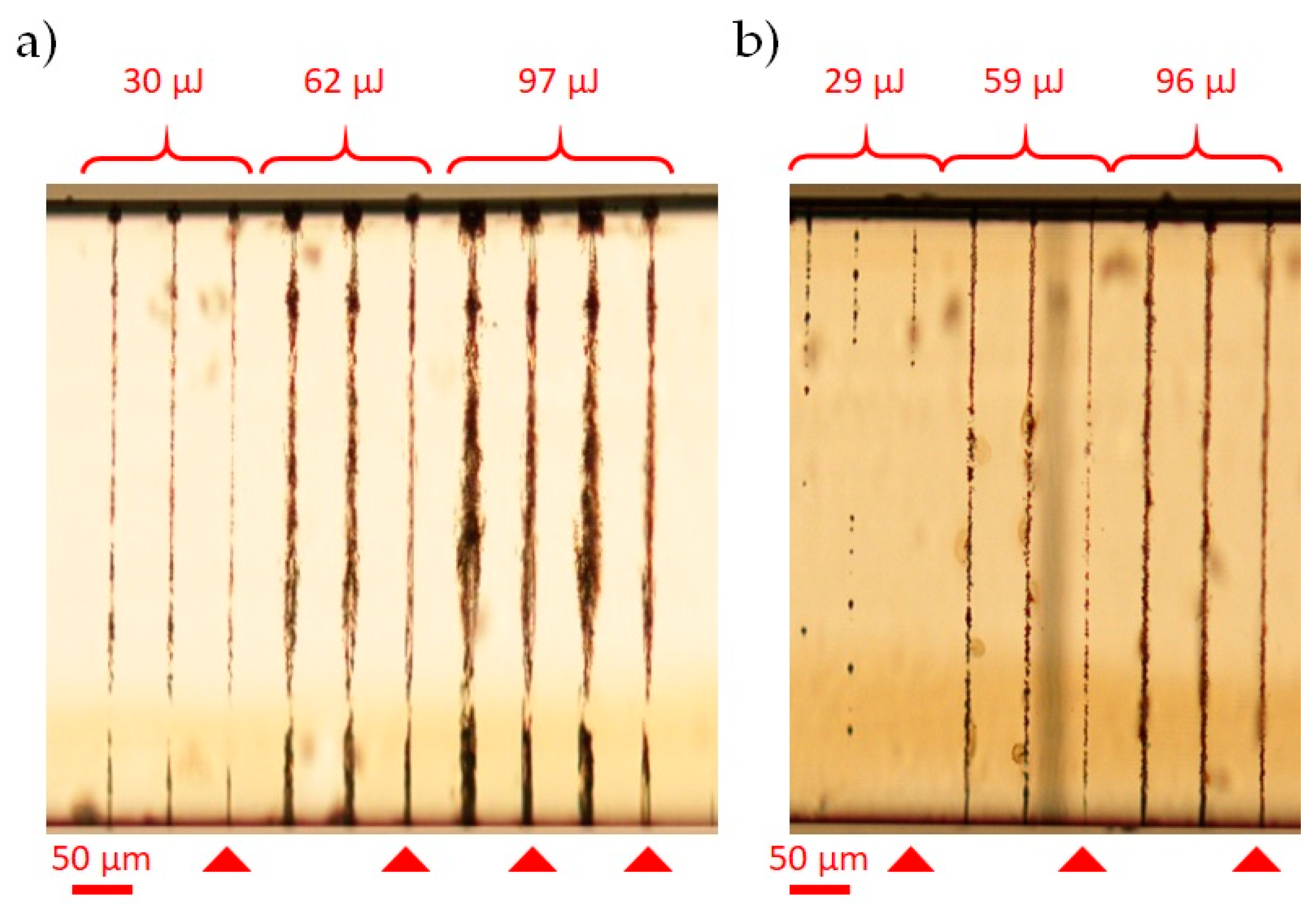 Micromachines 12 00455 g010