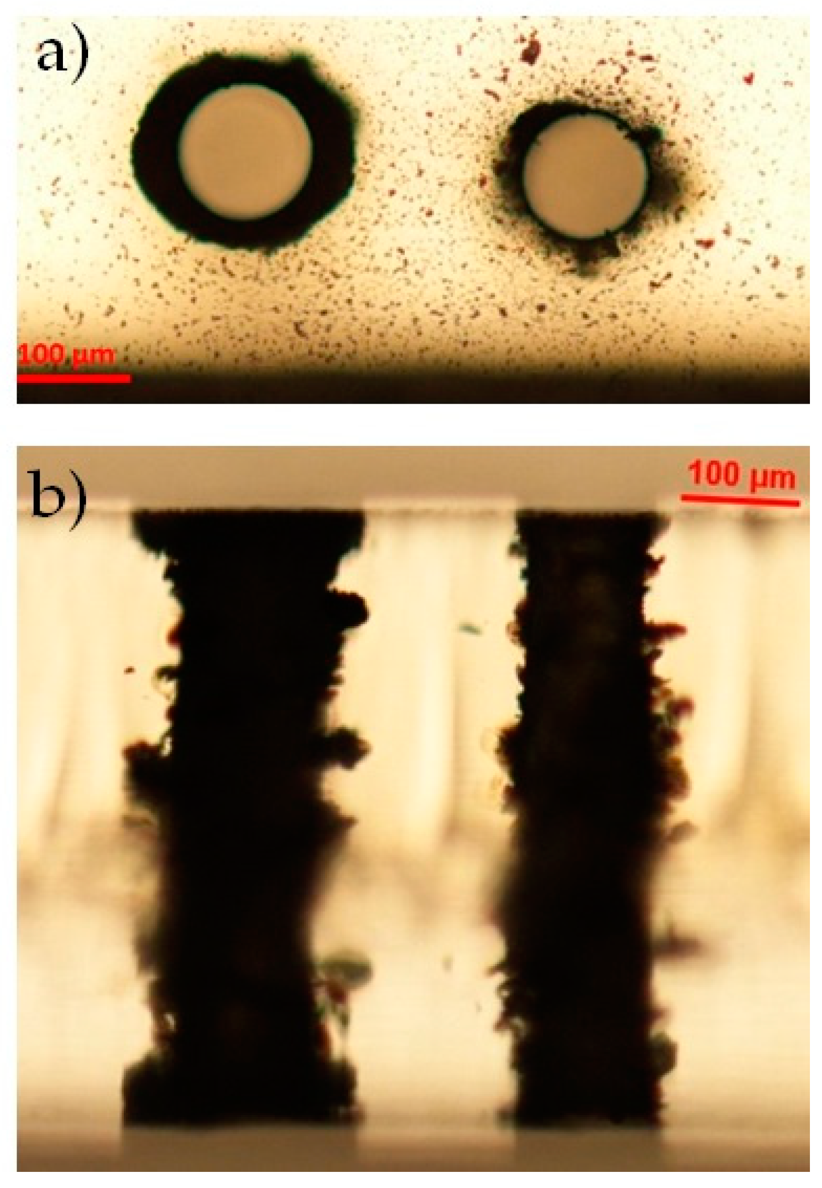 Micromachines 12 00455 g011