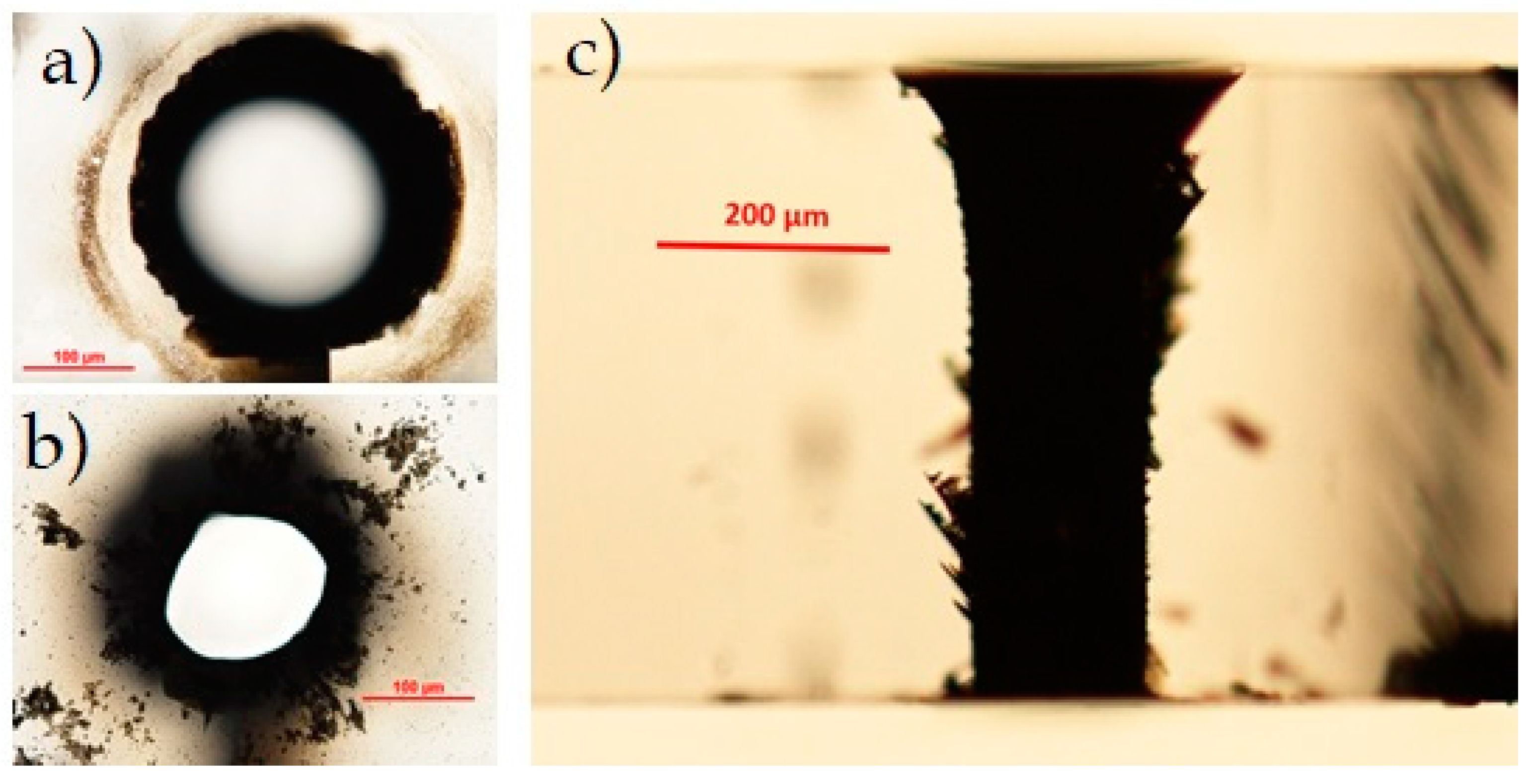 Micromachines 12 00455 g012