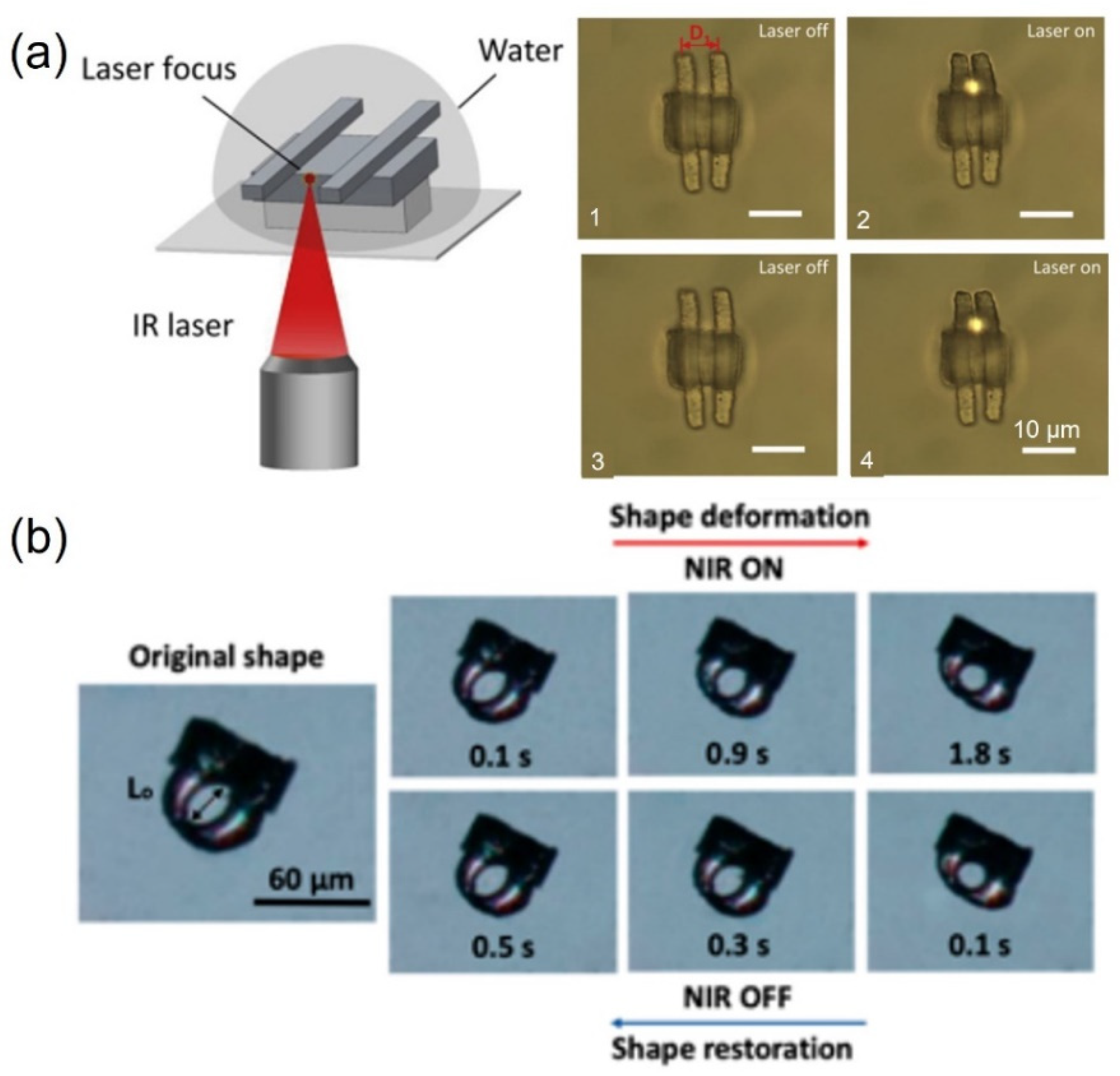 Micromachines 12 00465 g003
