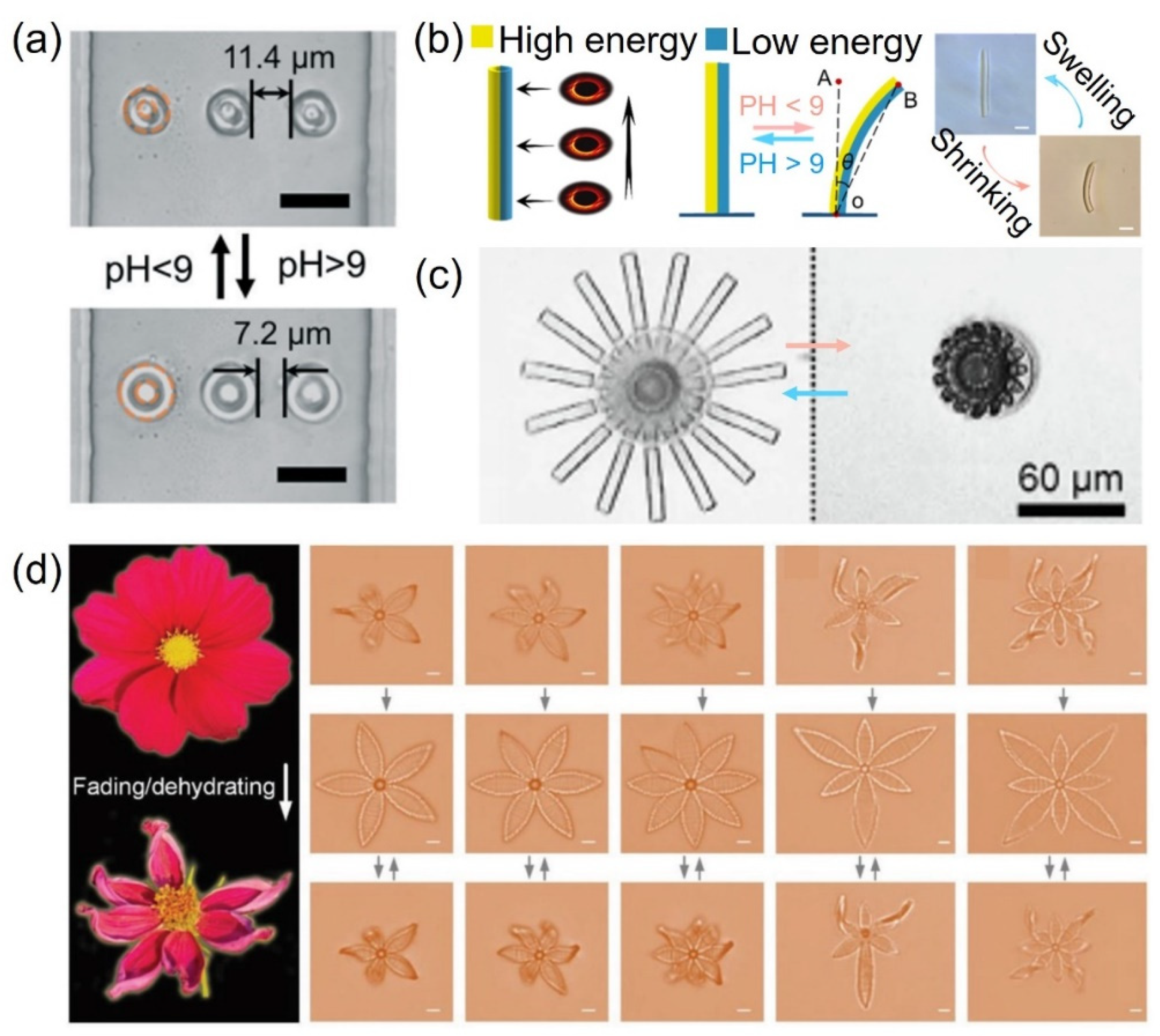 Micromachines 12 00465 g004