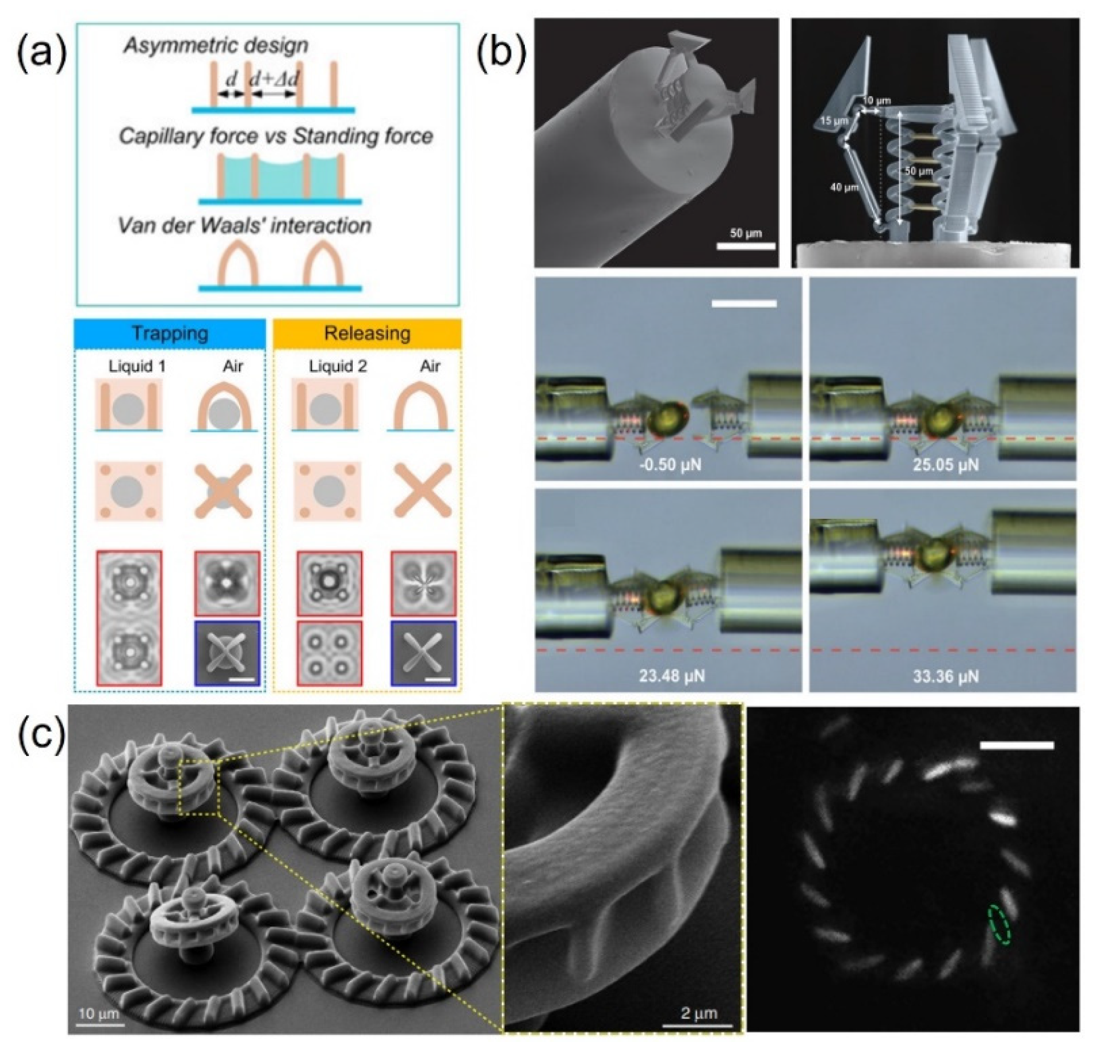 Micromachines 12 00465 g005