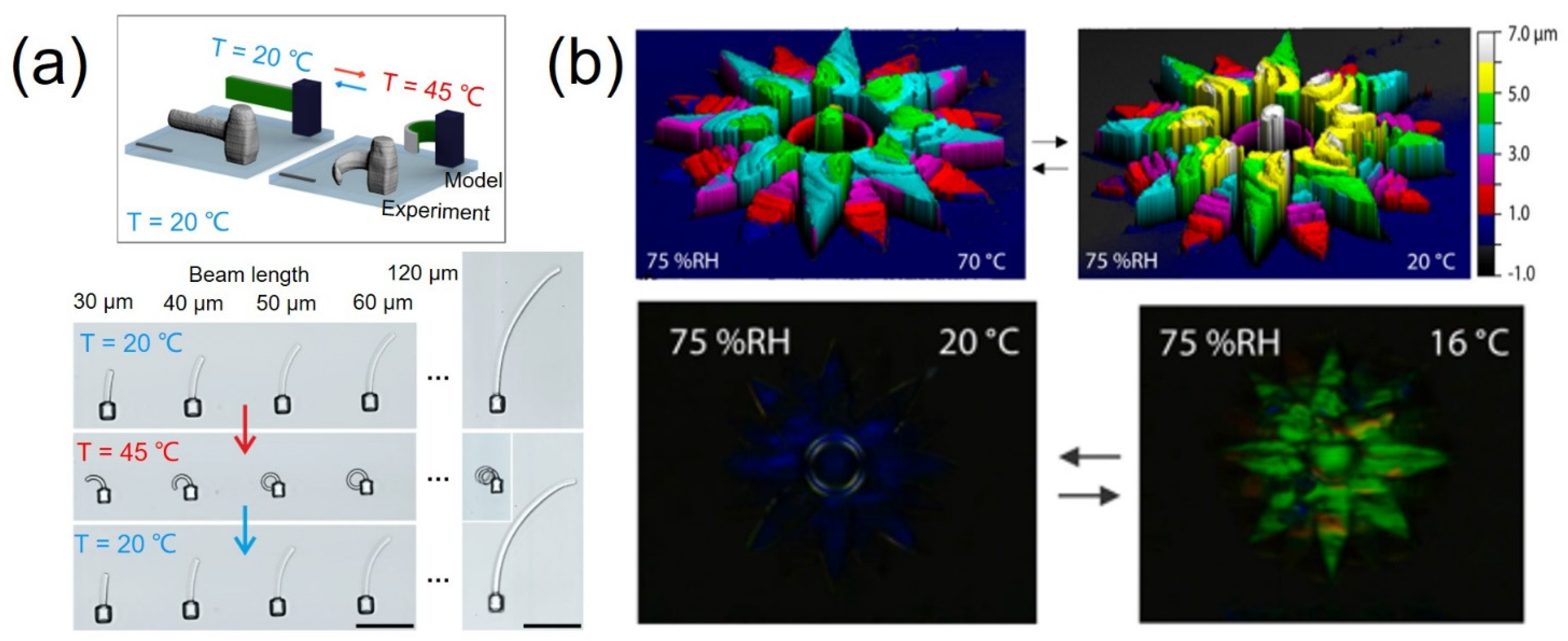 Micromachines 12 00465 g006