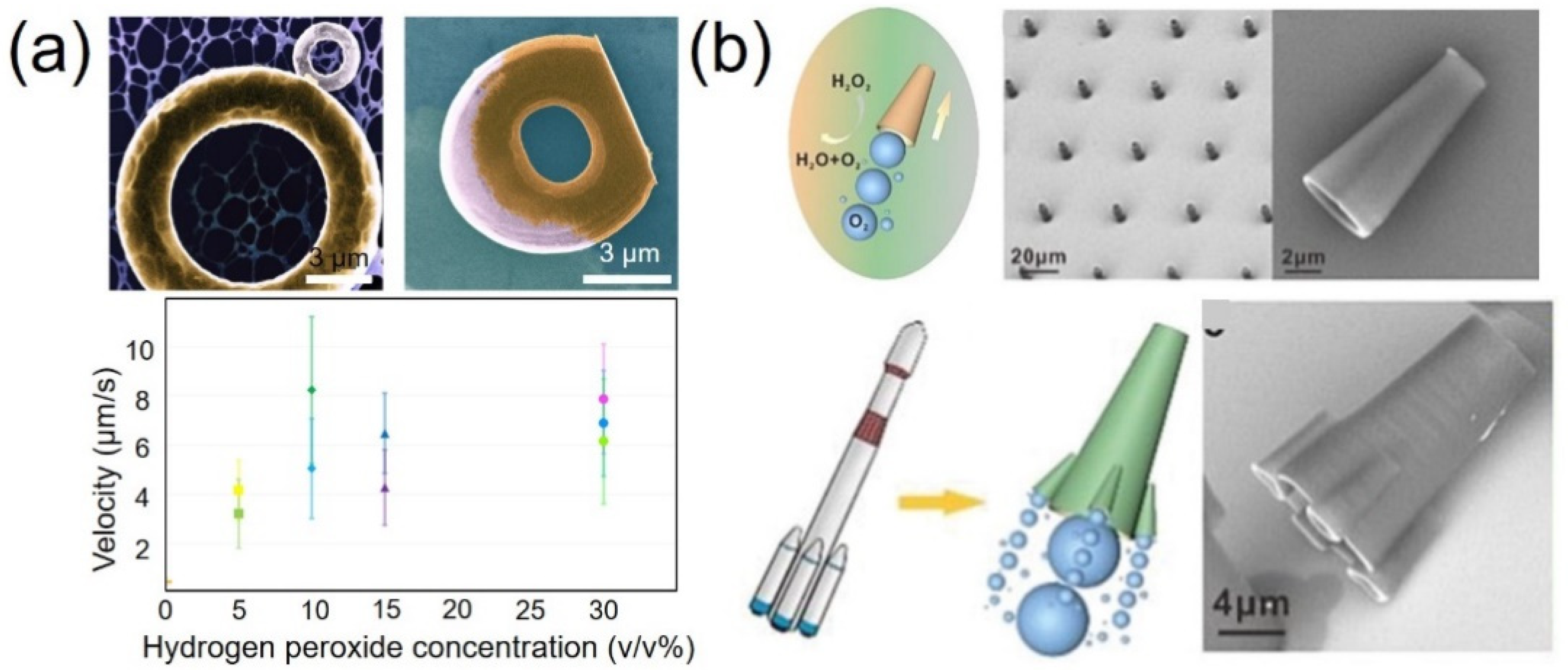 Micromachines 12 00465 g007