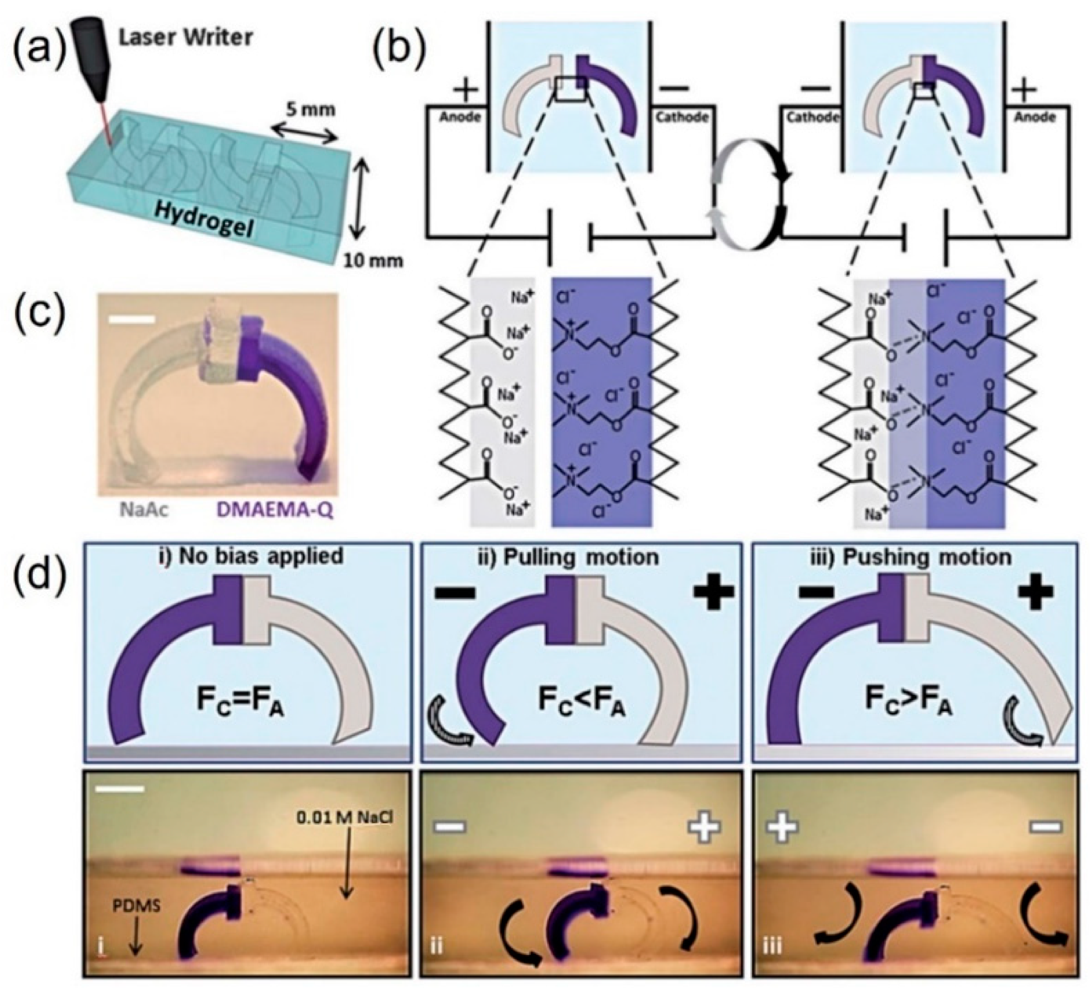 Micromachines 12 00465 g009