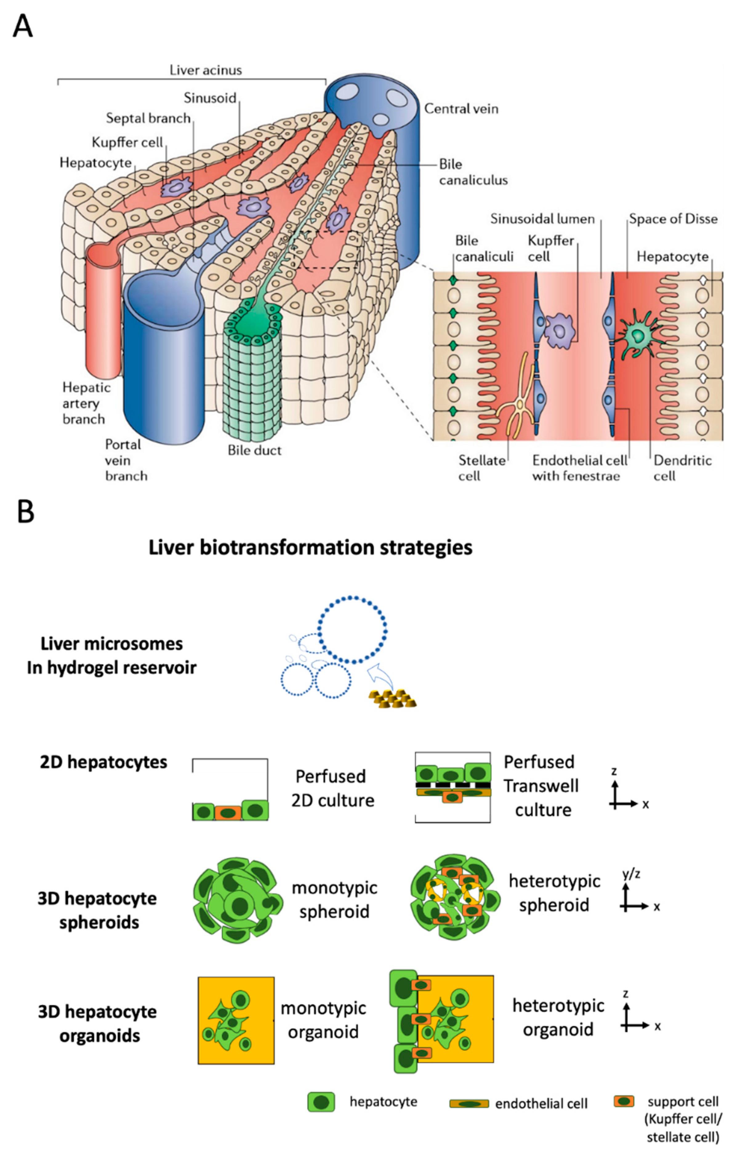 Micromachines 12 00470 g002