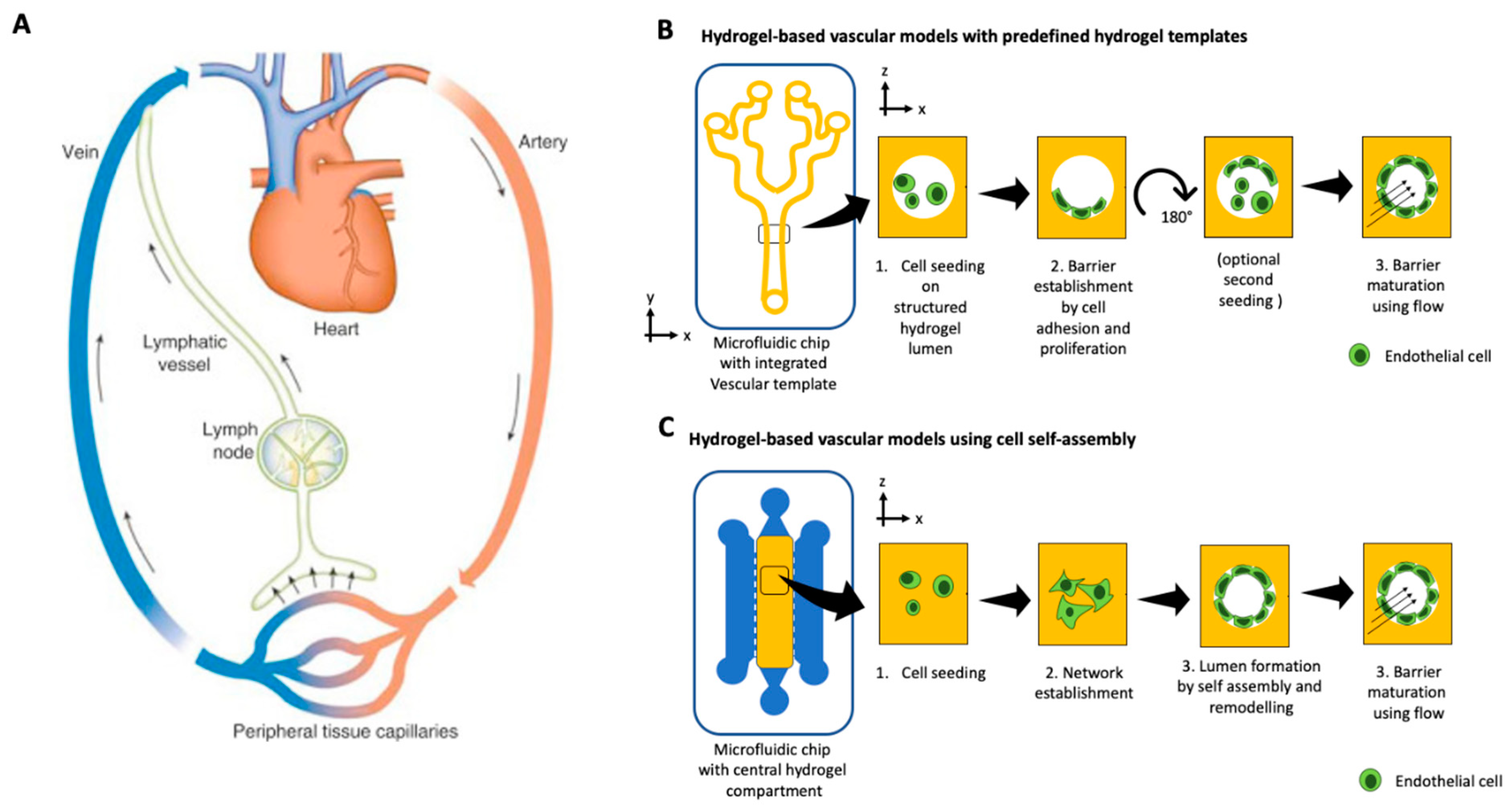 Micromachines 12 00470 g003