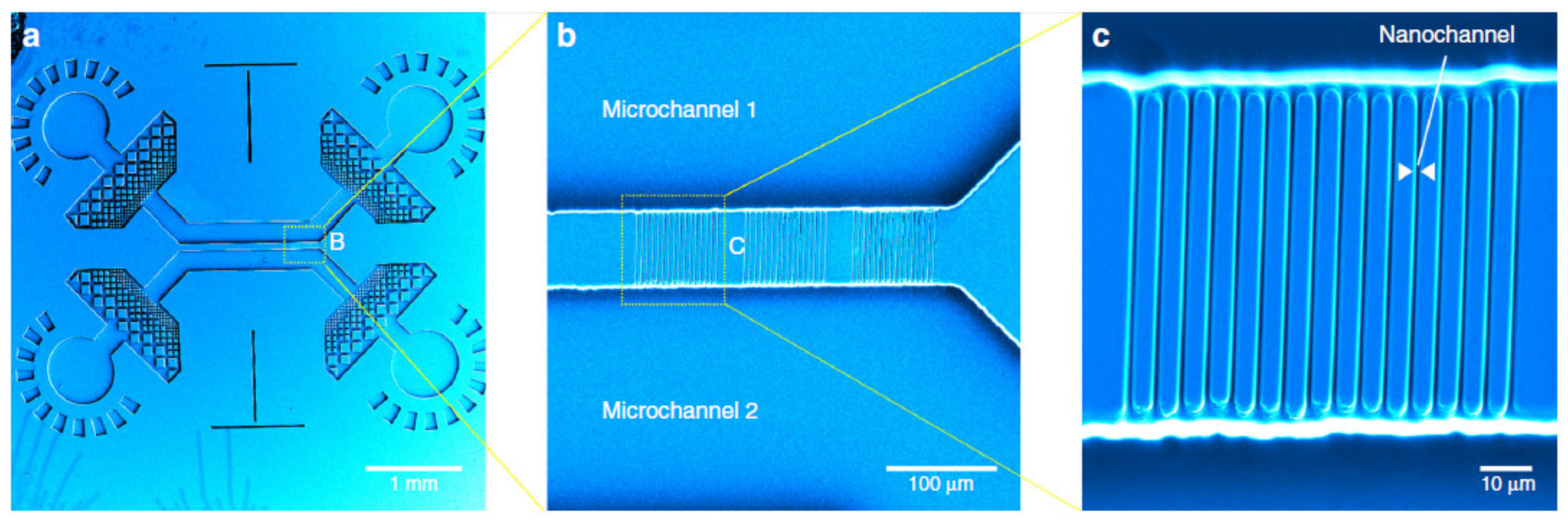 Micromachines 12 00472 g006