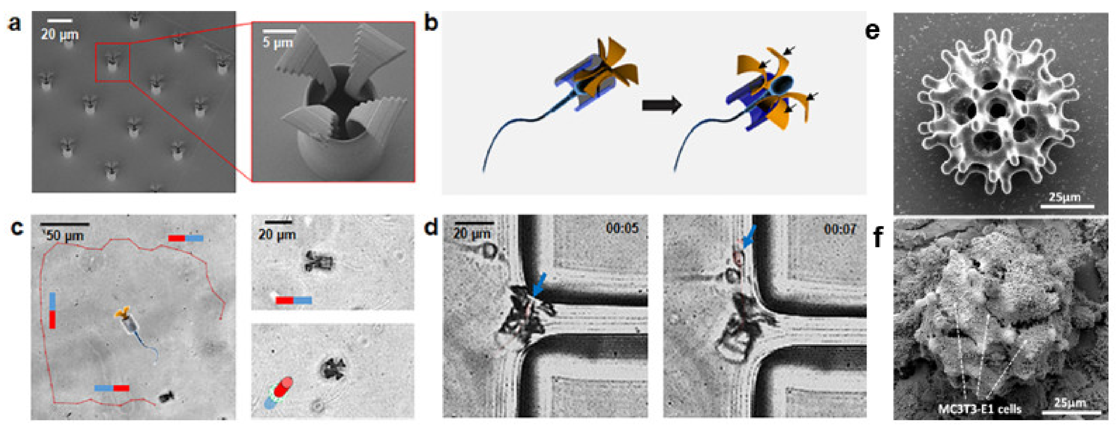 Micromachines 12 00472 g007