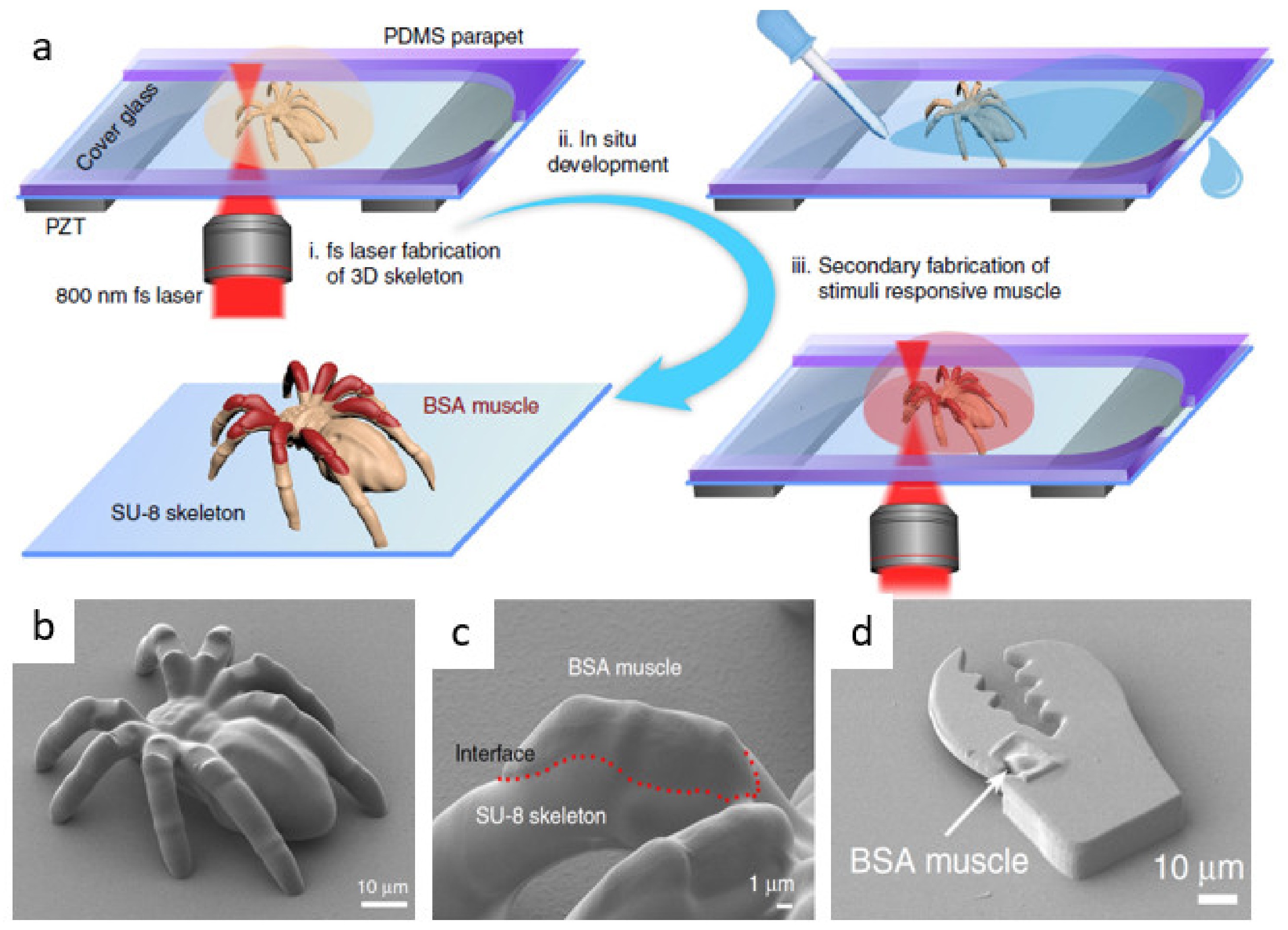 Micromachines 12 00472 g008