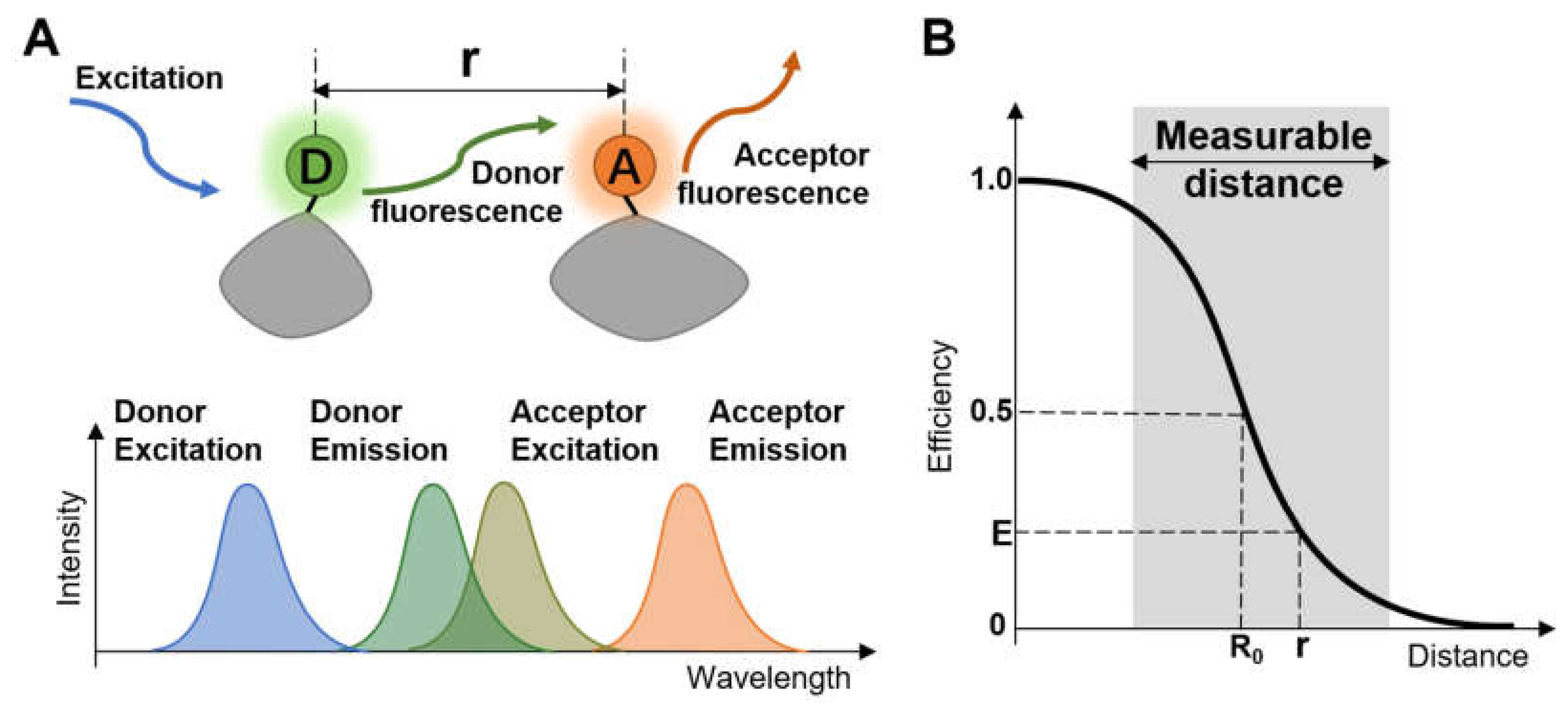 Micromachines 12 00492 g001