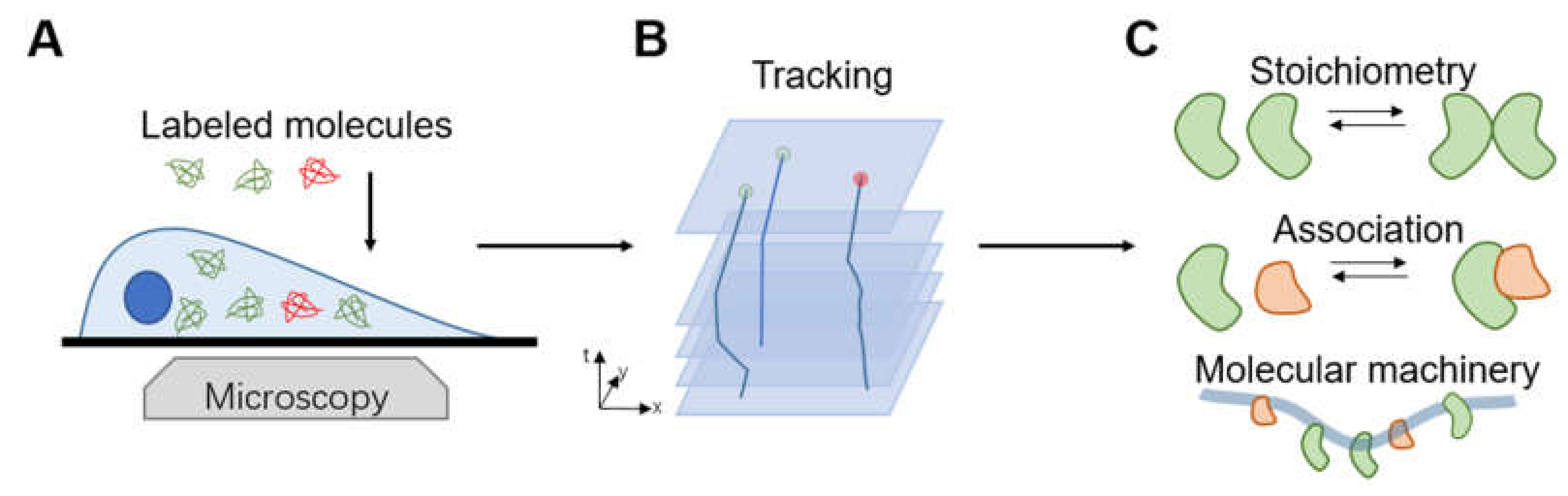 Micromachines 12 00492 g009