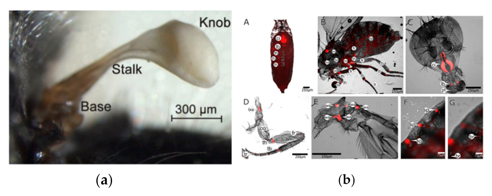 Micromachines 12 00511 g002