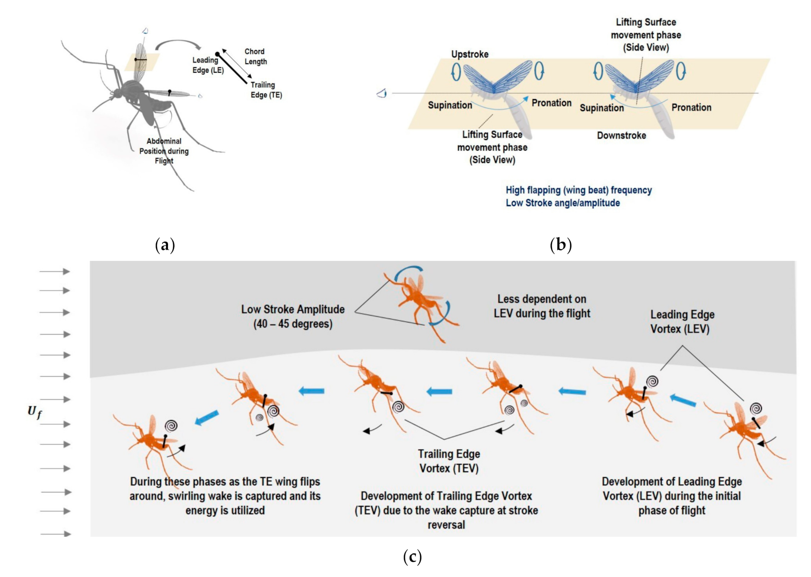 Micromachines 12 00511 g003