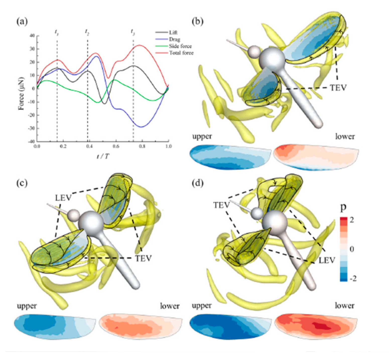 Micromachines 12 00511 g007