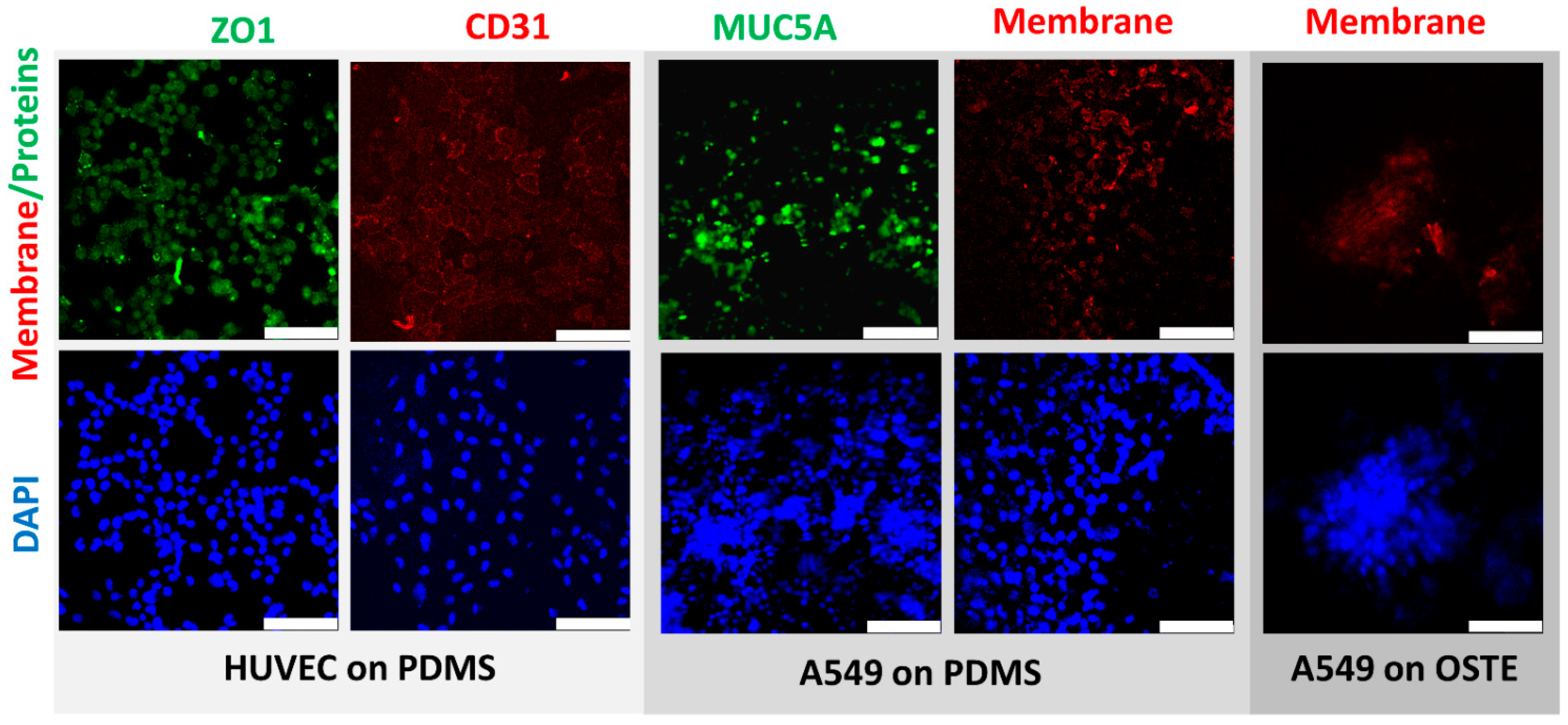 Micromachines 12 00546 g004