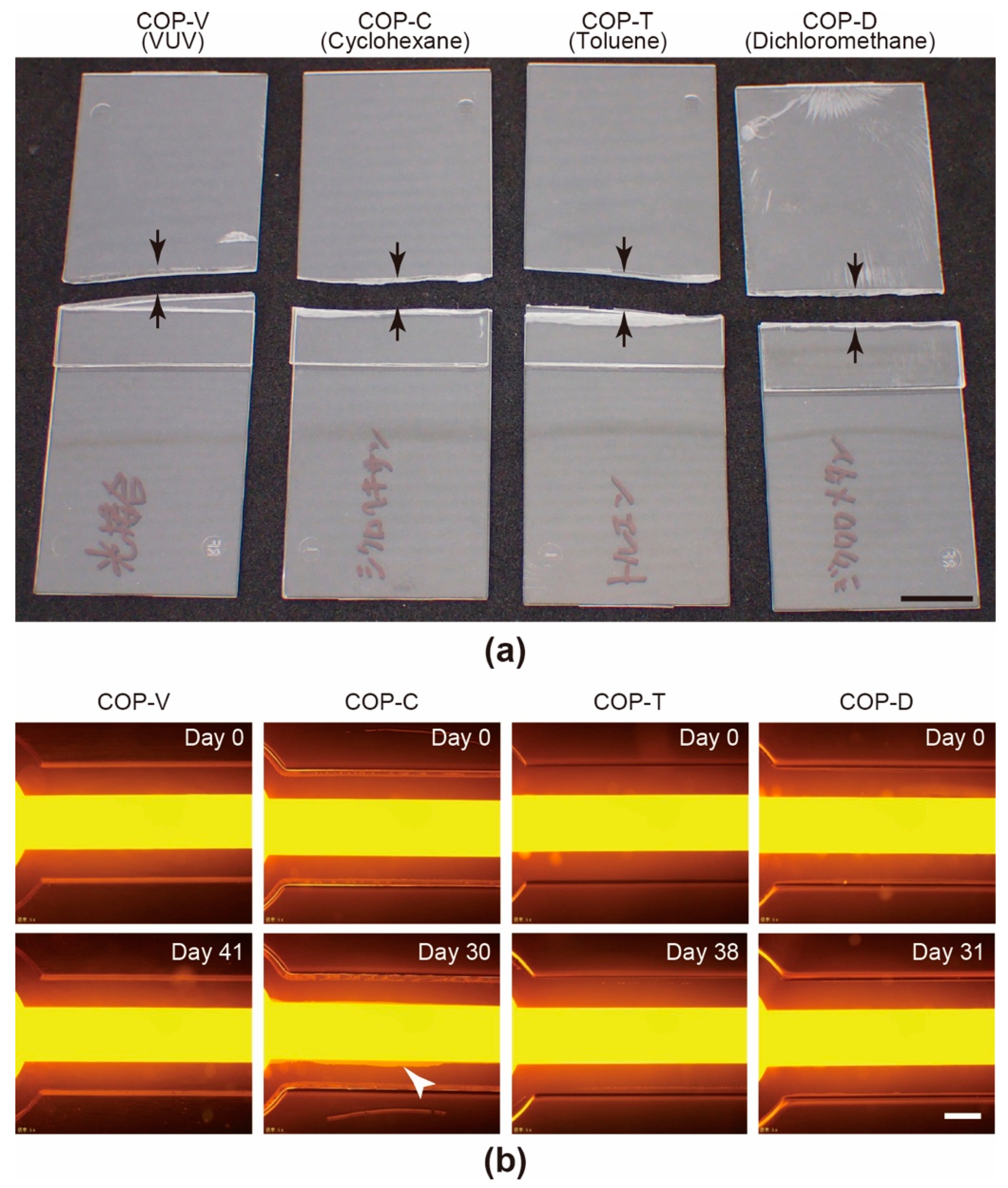 Micromachines 12 00550 g004