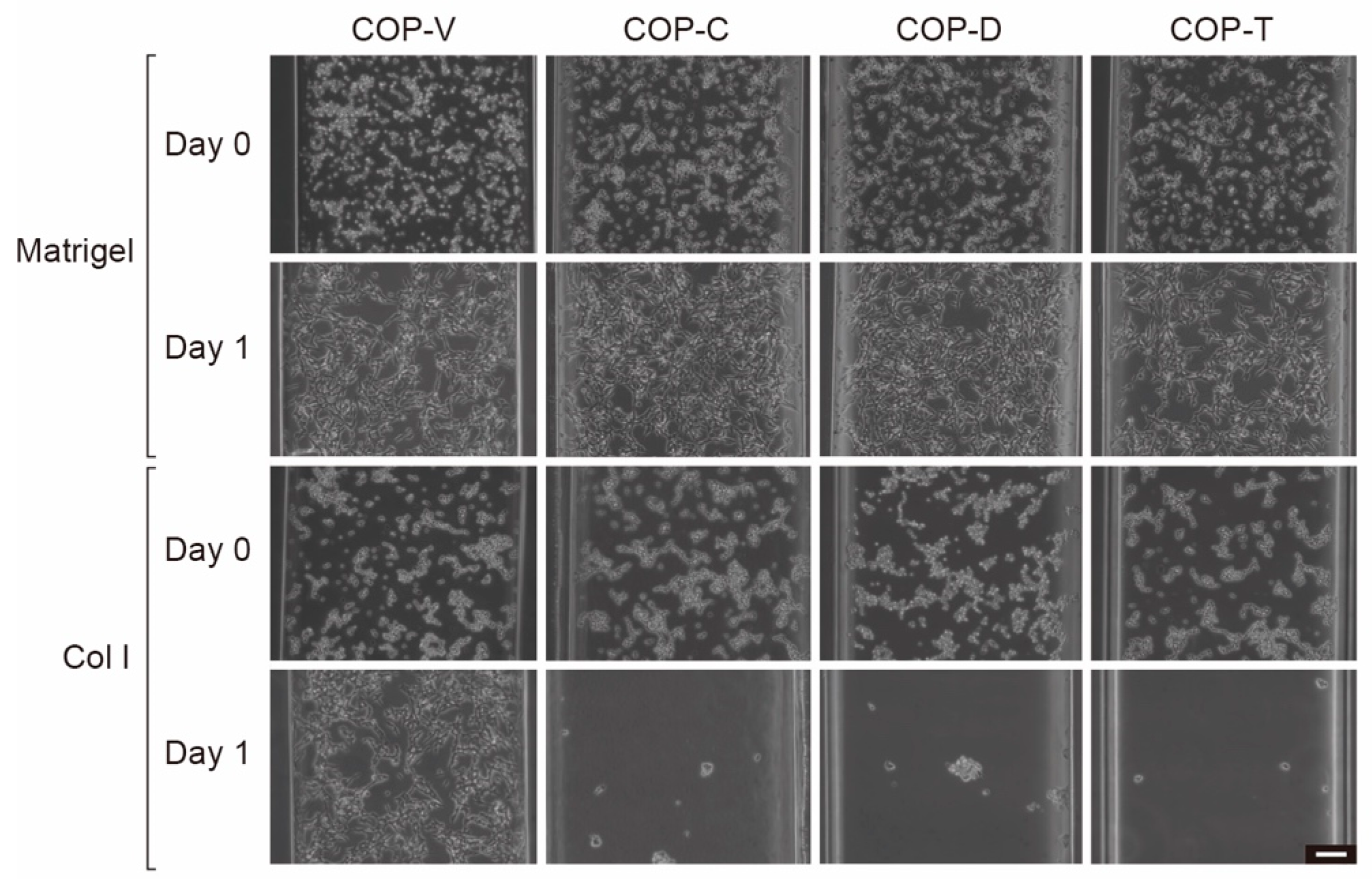Micromachines 12 00550 g009