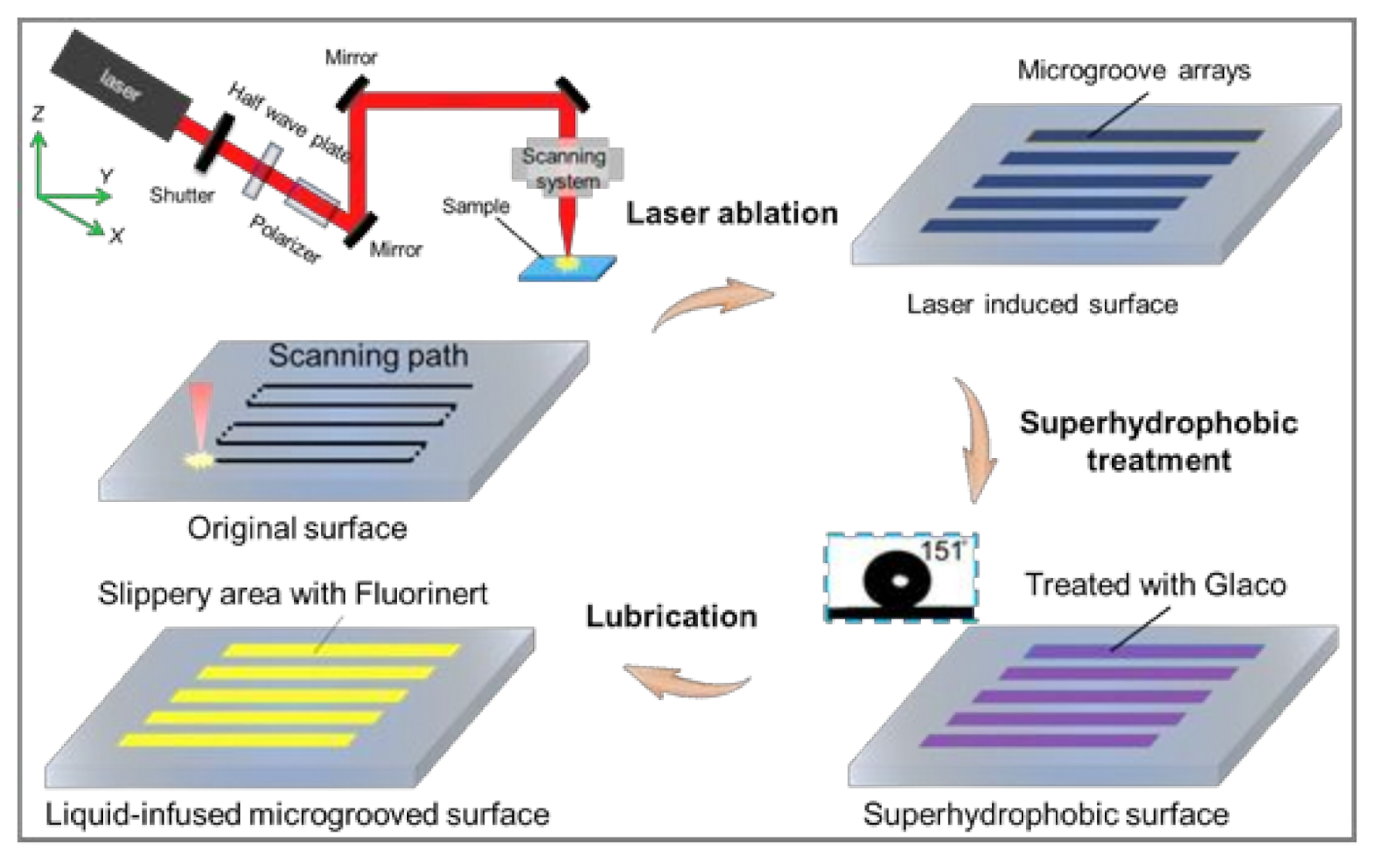 Micromachines 12 00555 g001