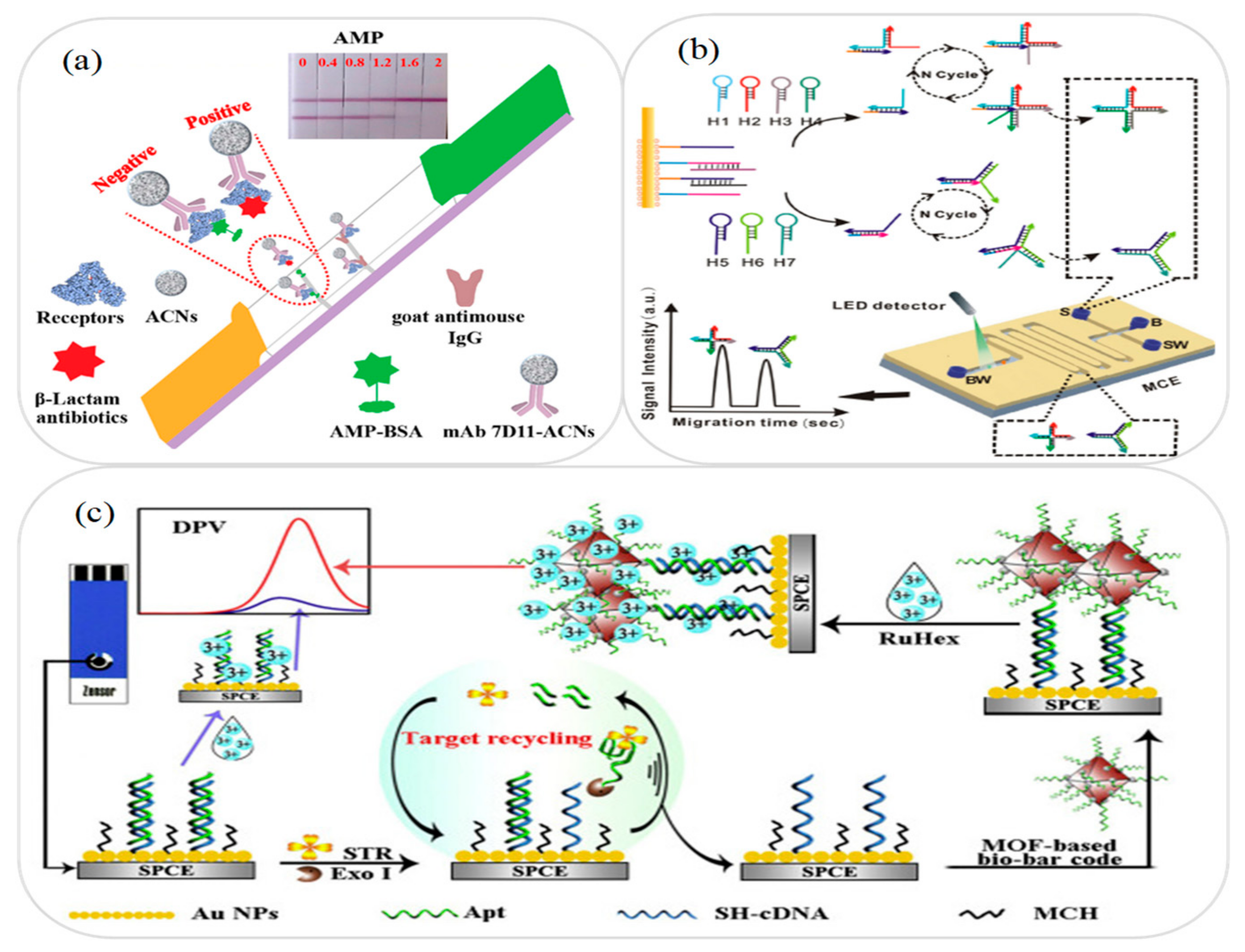 Micromachines 12 00558 g003