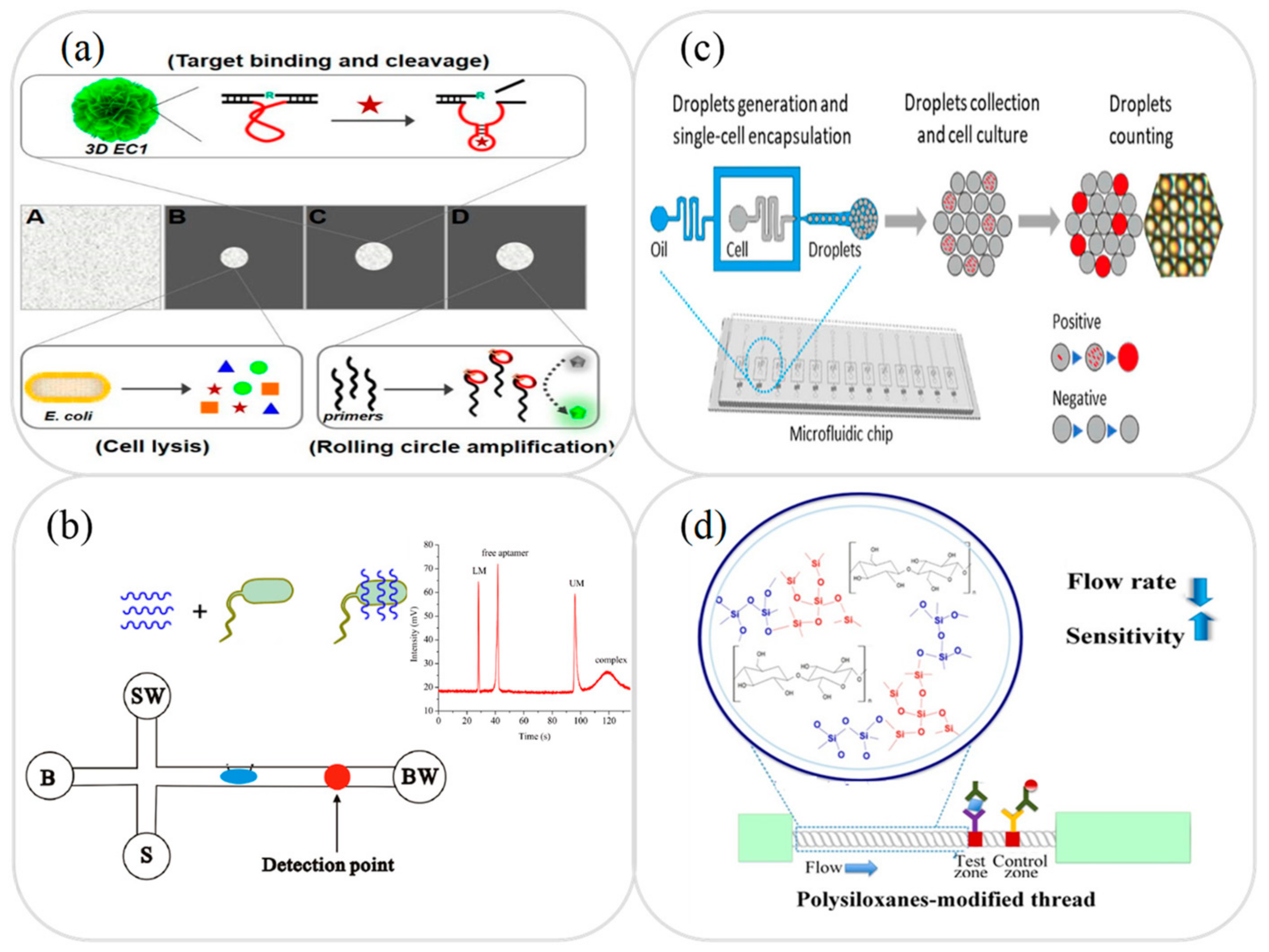 Micromachines 12 00558 g004