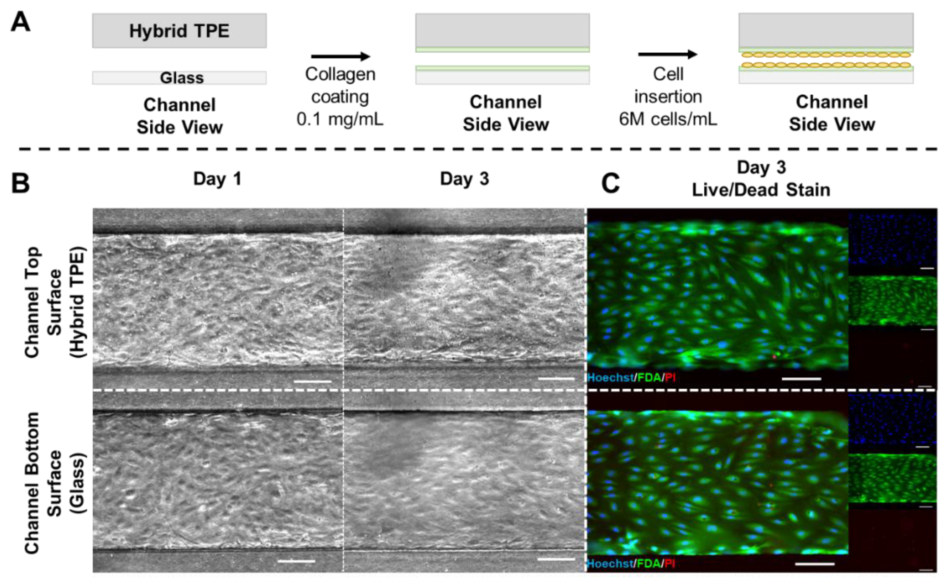 Micromachines 12 00575 g004