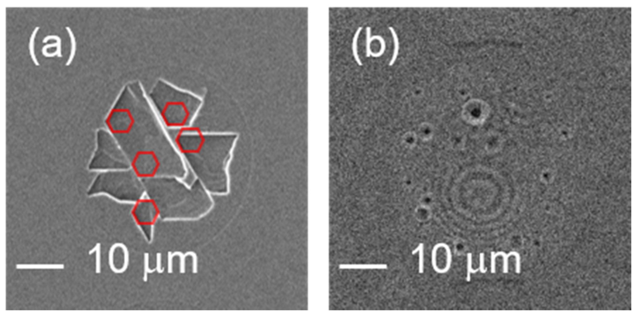 Micromachines 12 00596 g001