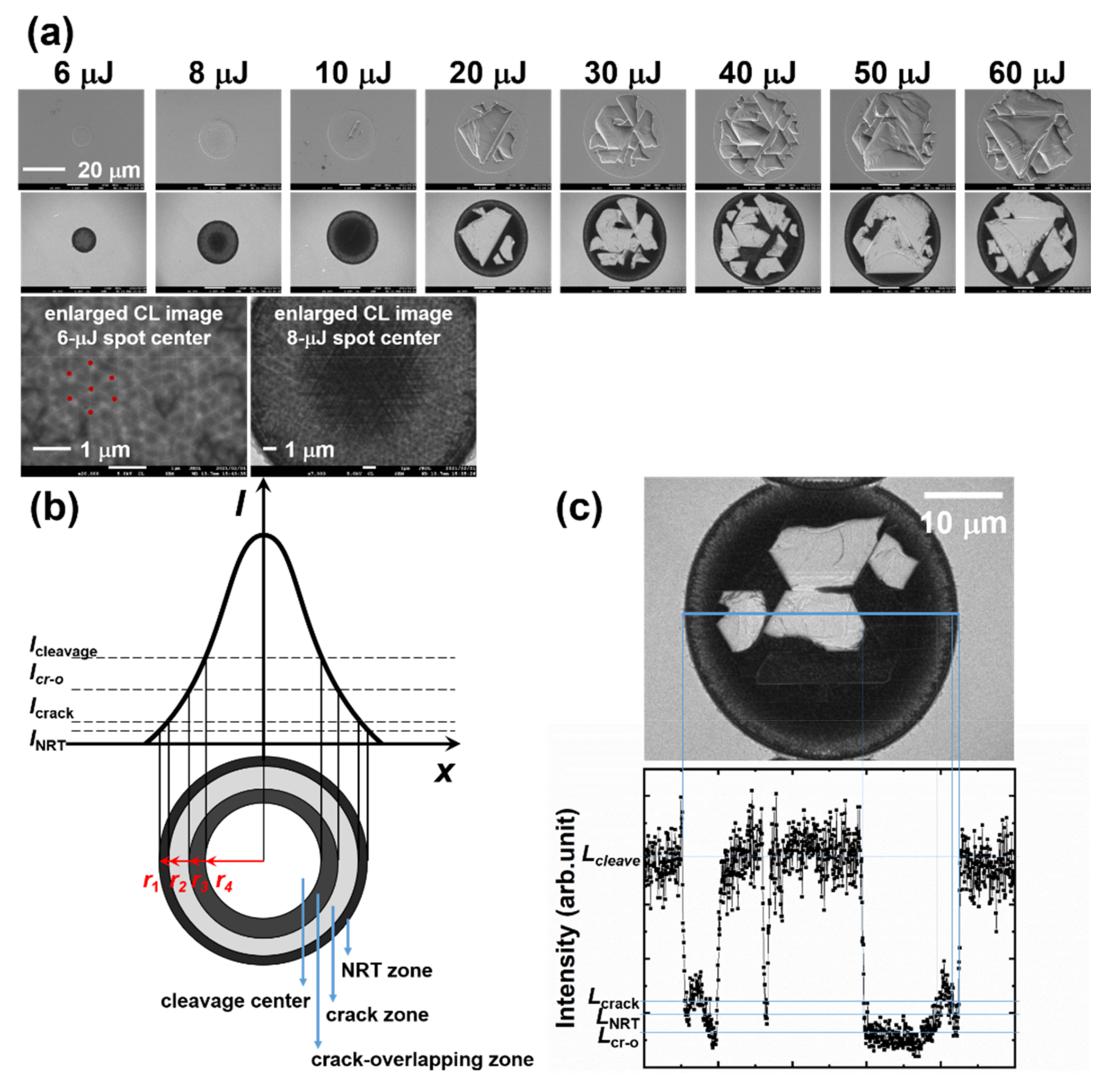 Micromachines 12 00596 g007