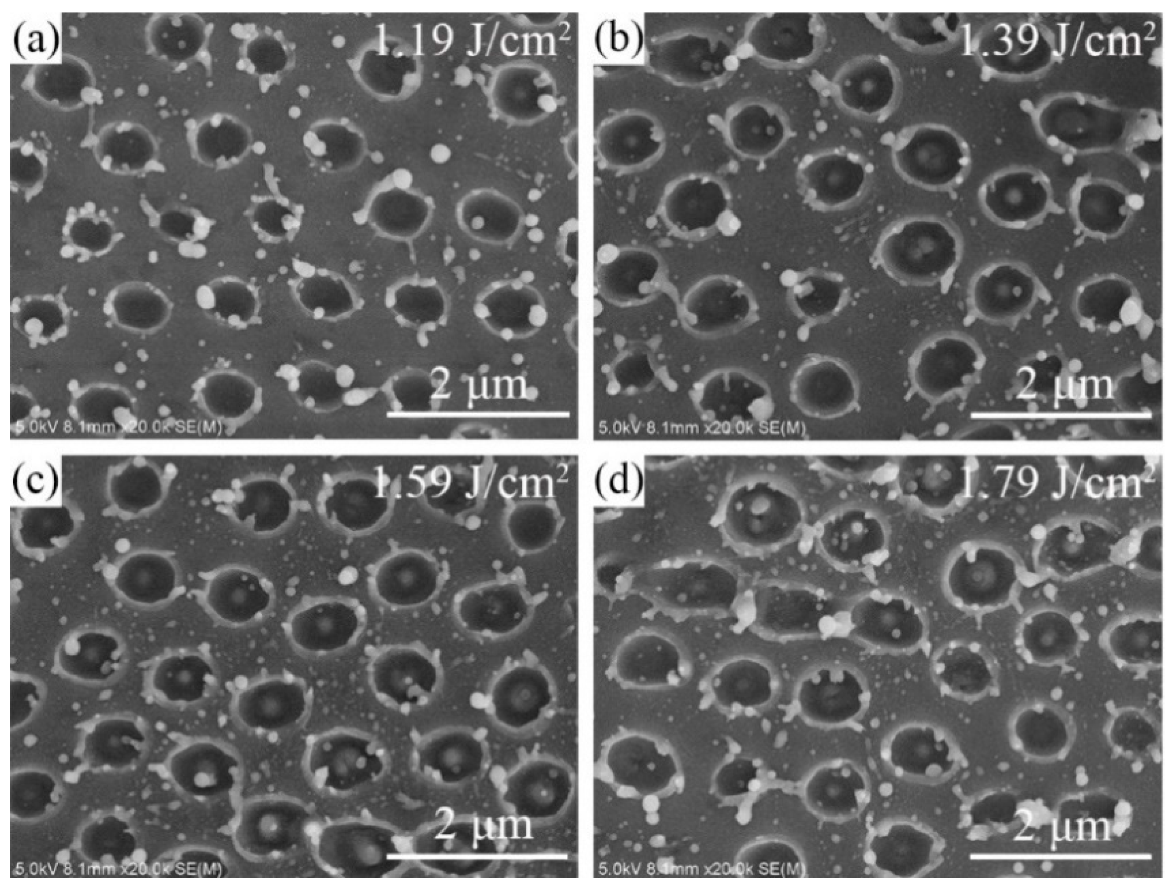 Micromachines 12 00611 g004