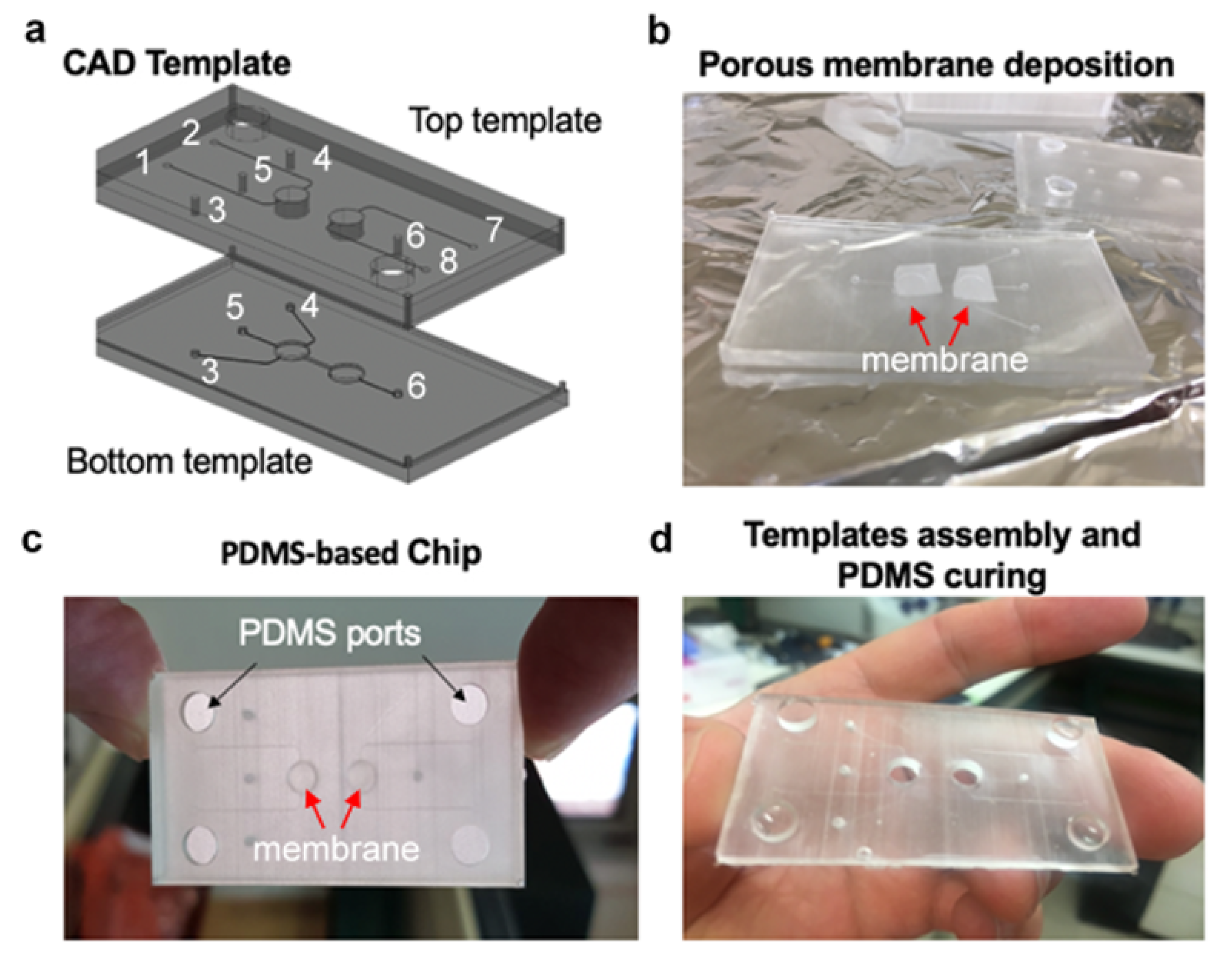 Micromachines 12 00627 g002