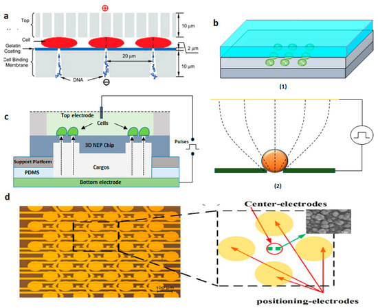 Micromachines 12 00631 g017