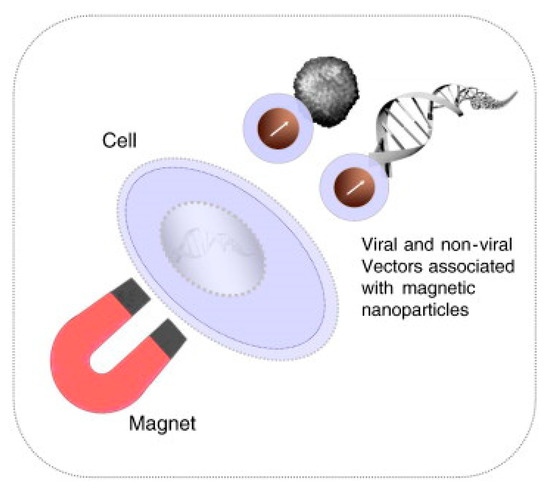 Micromachines 12 00631 g024