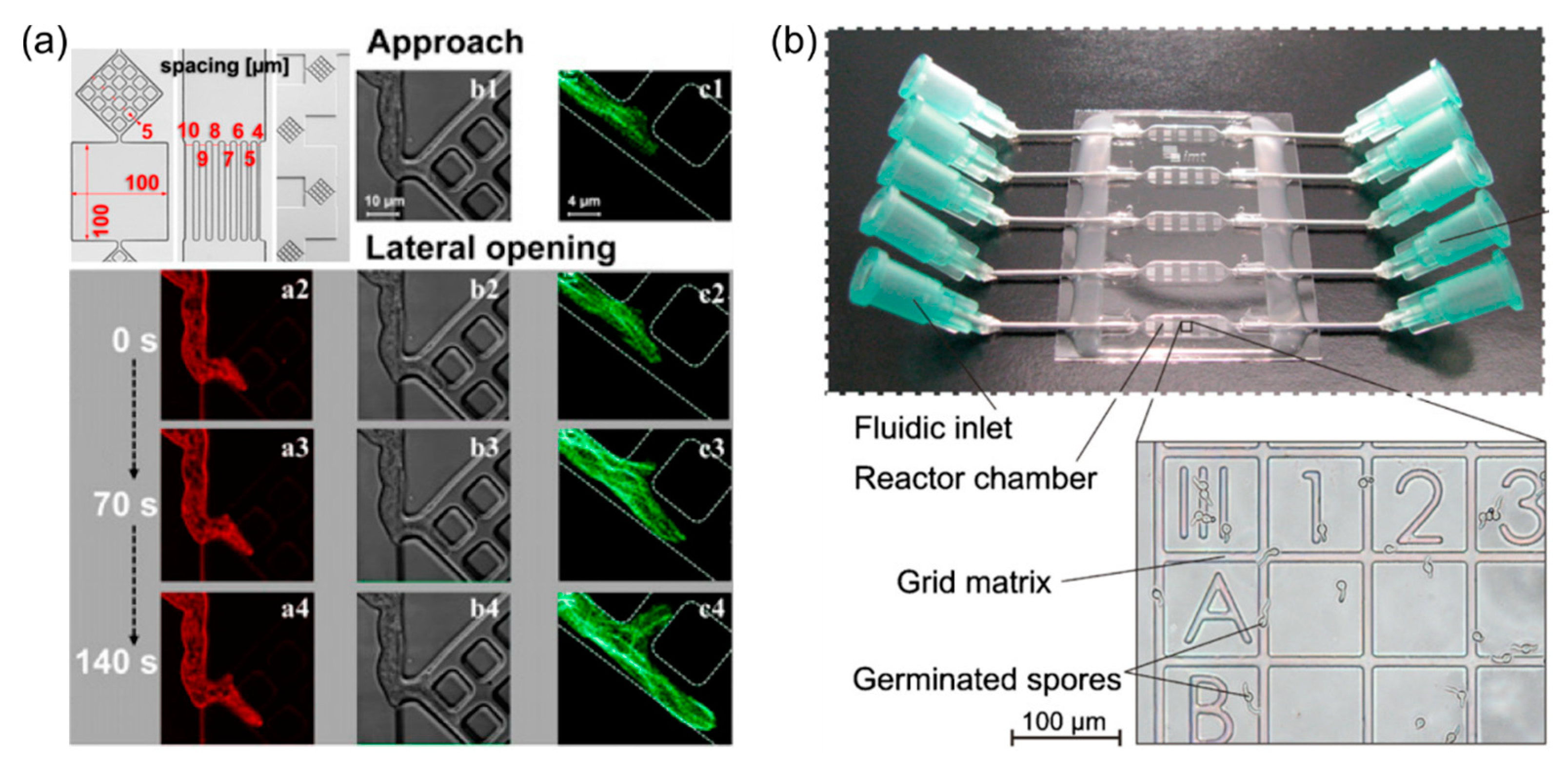 Micromachines 12 00639 g002