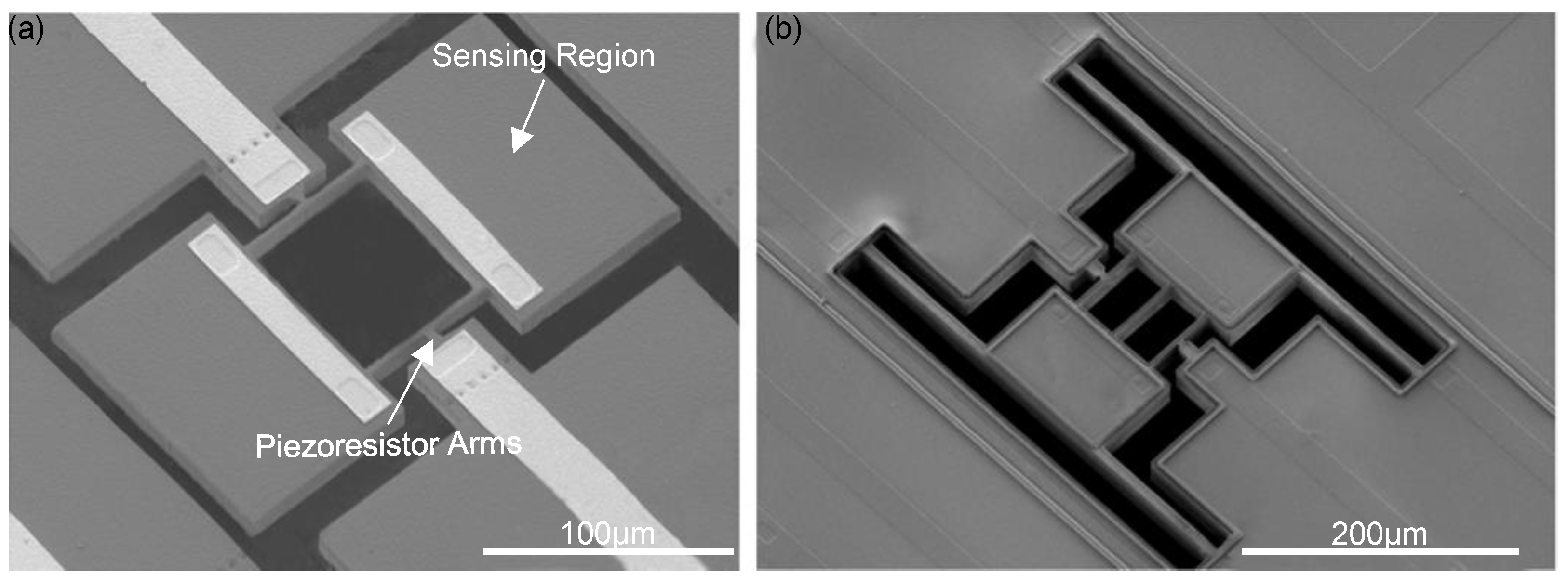 Micromachines 12 00645 g005