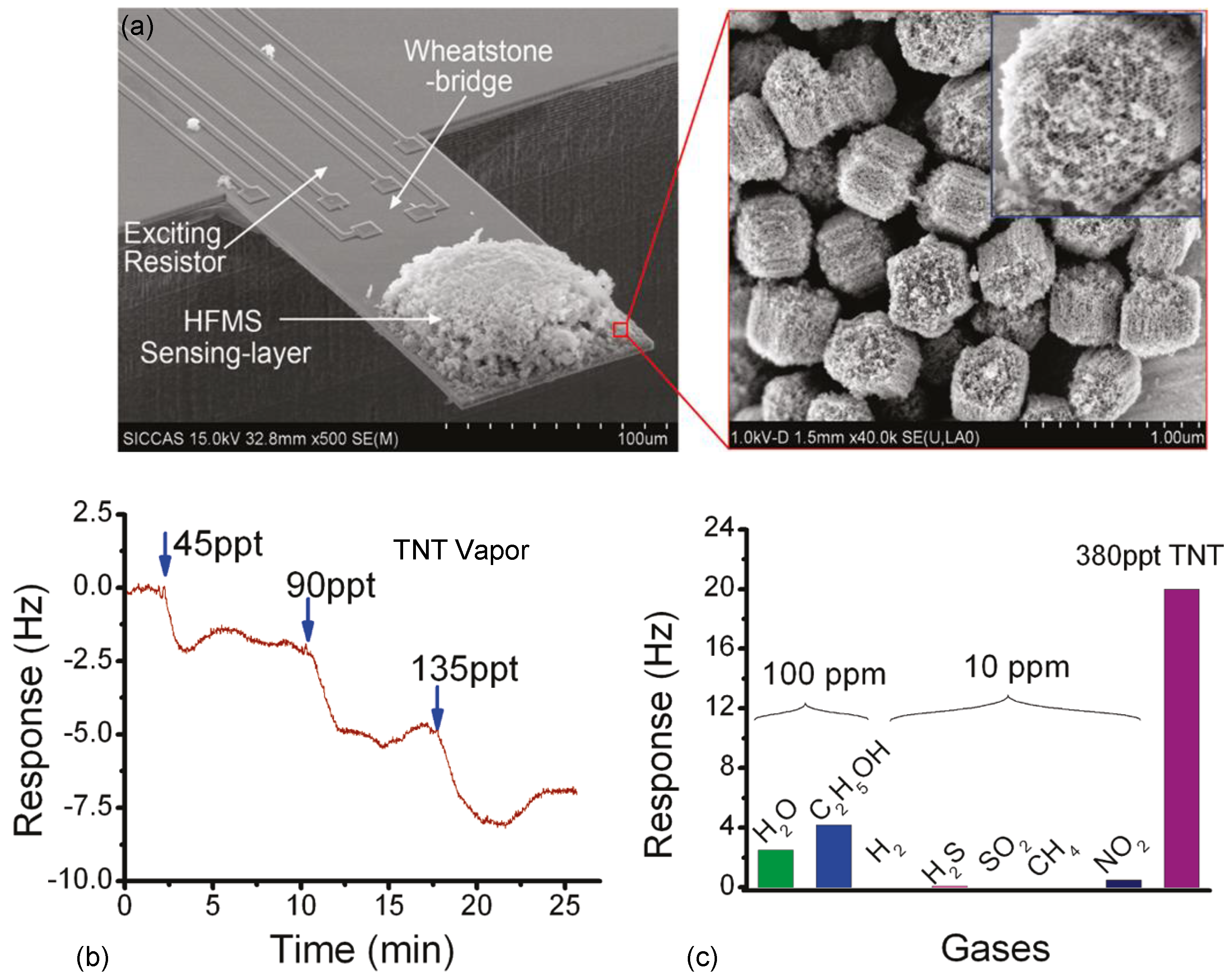 Micromachines 12 00645 g006