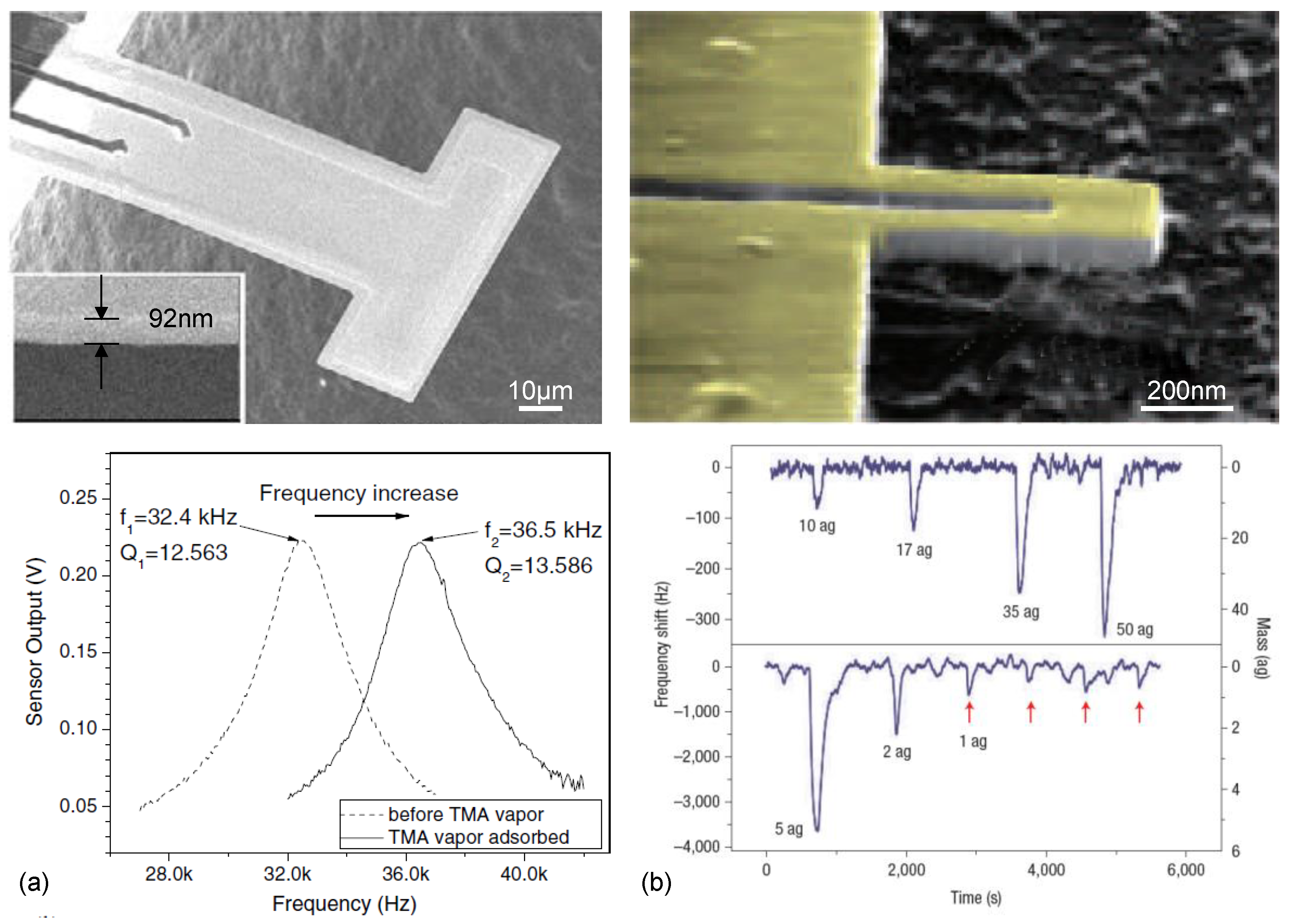 Micromachines 12 00645 g008