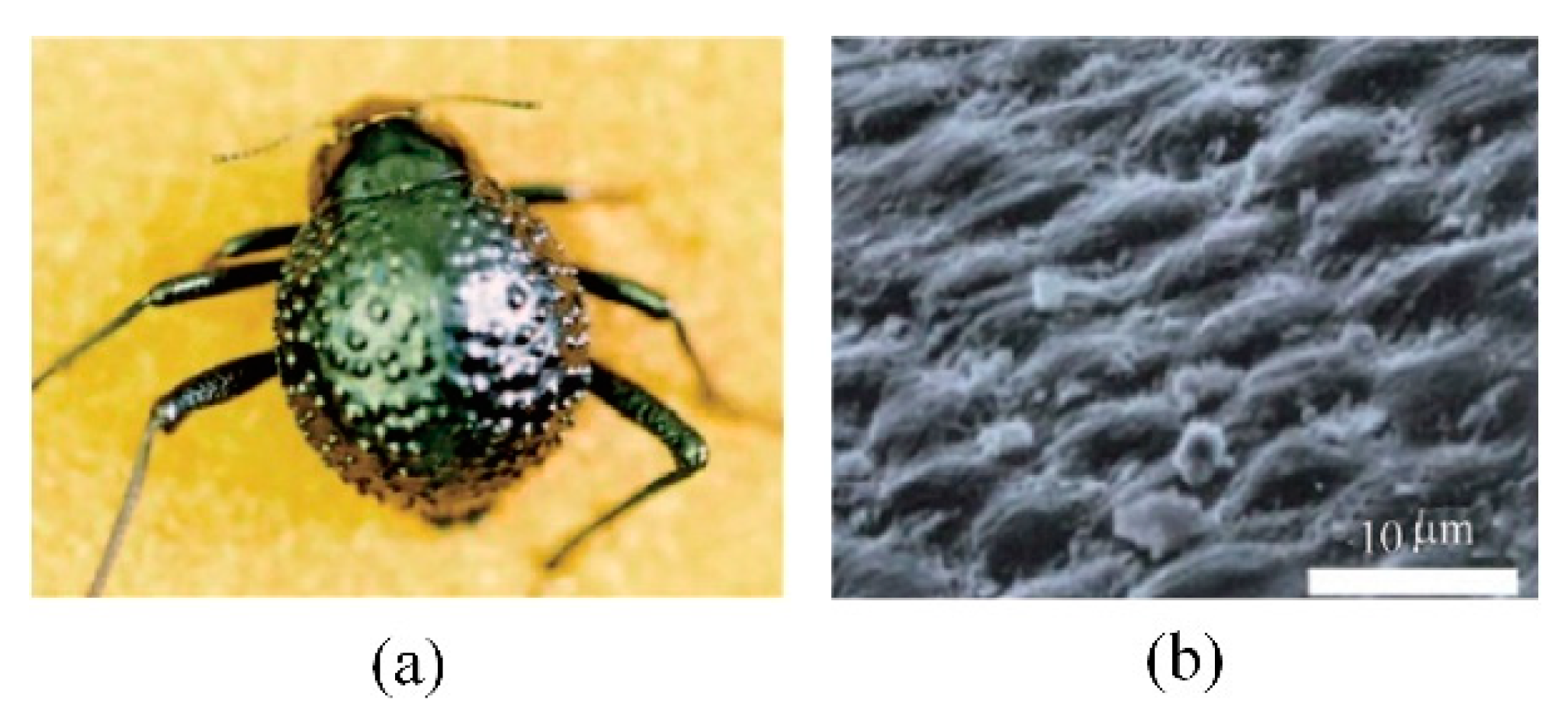 Micromachines 12 00656 g004