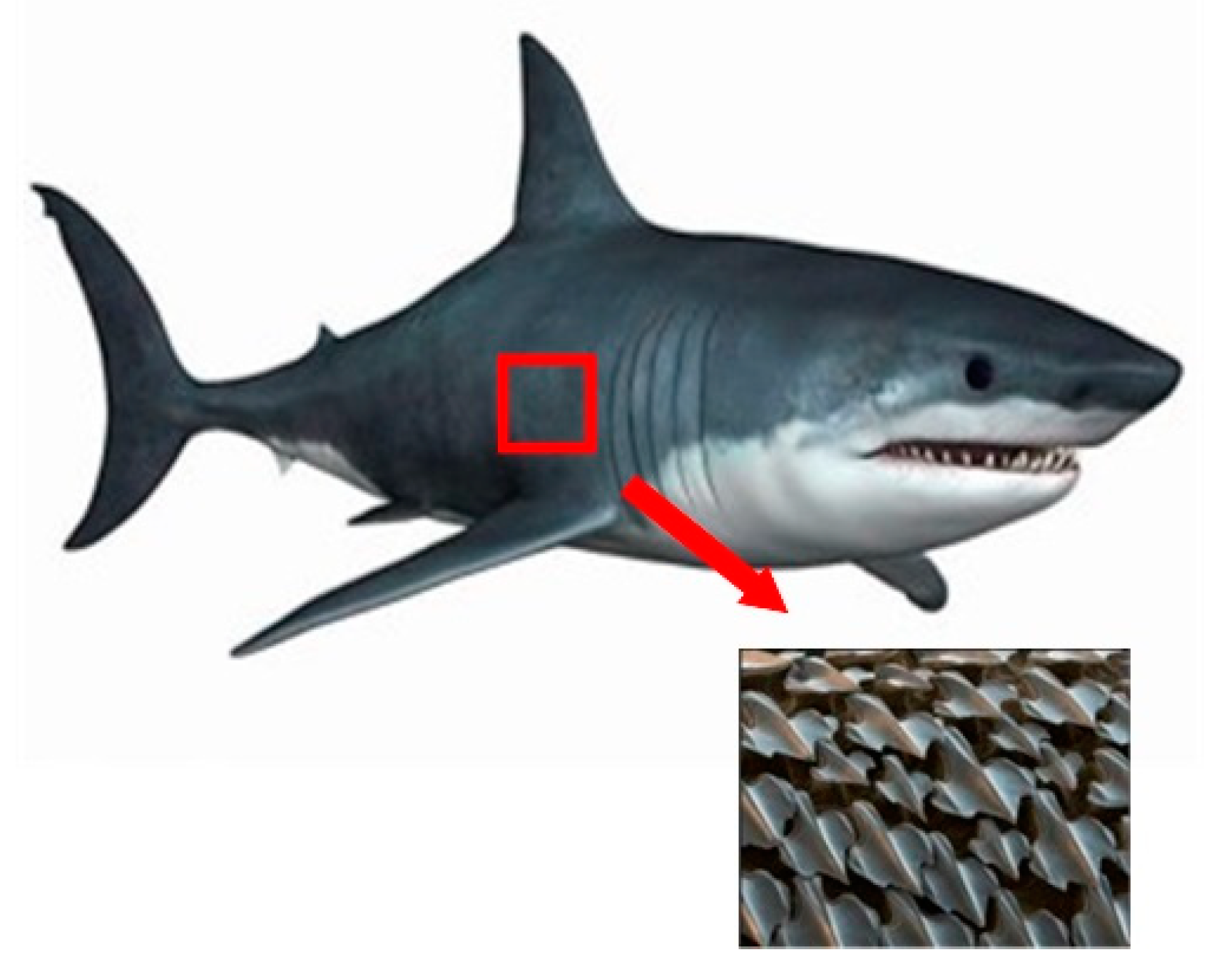 Micromachines 12 00656 g006