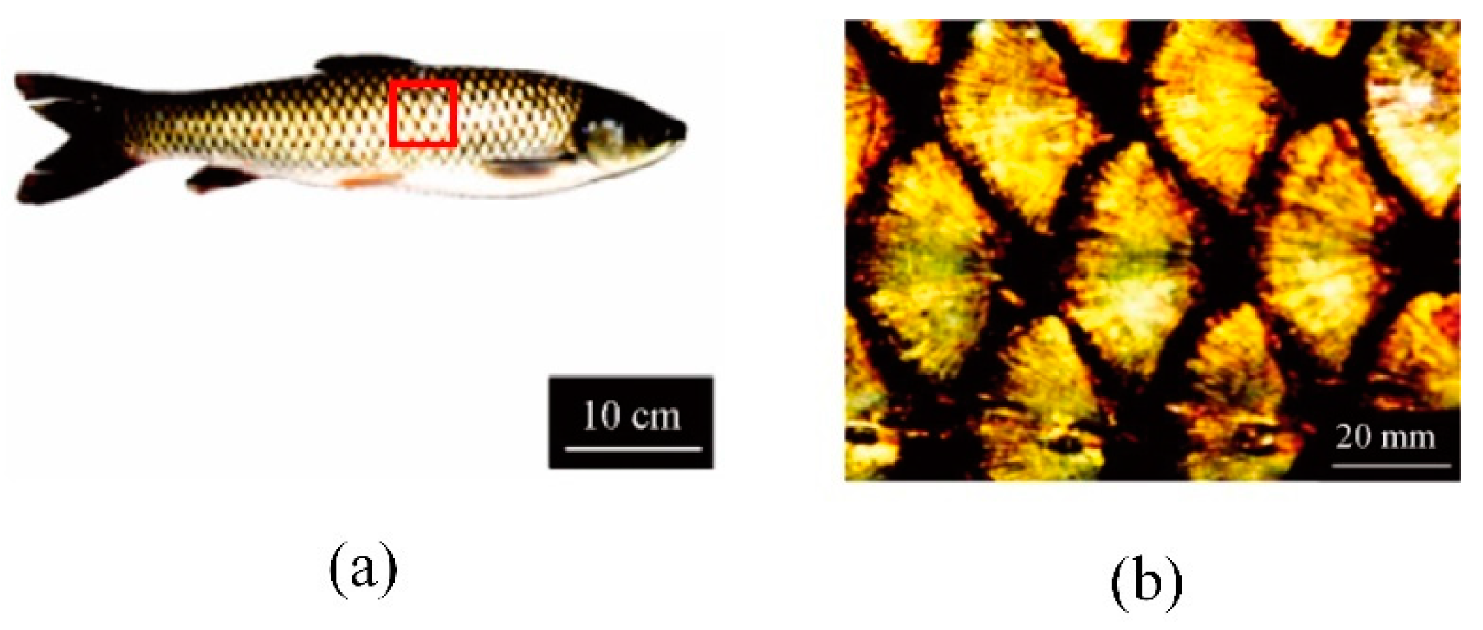 Micromachines 12 00656 g007