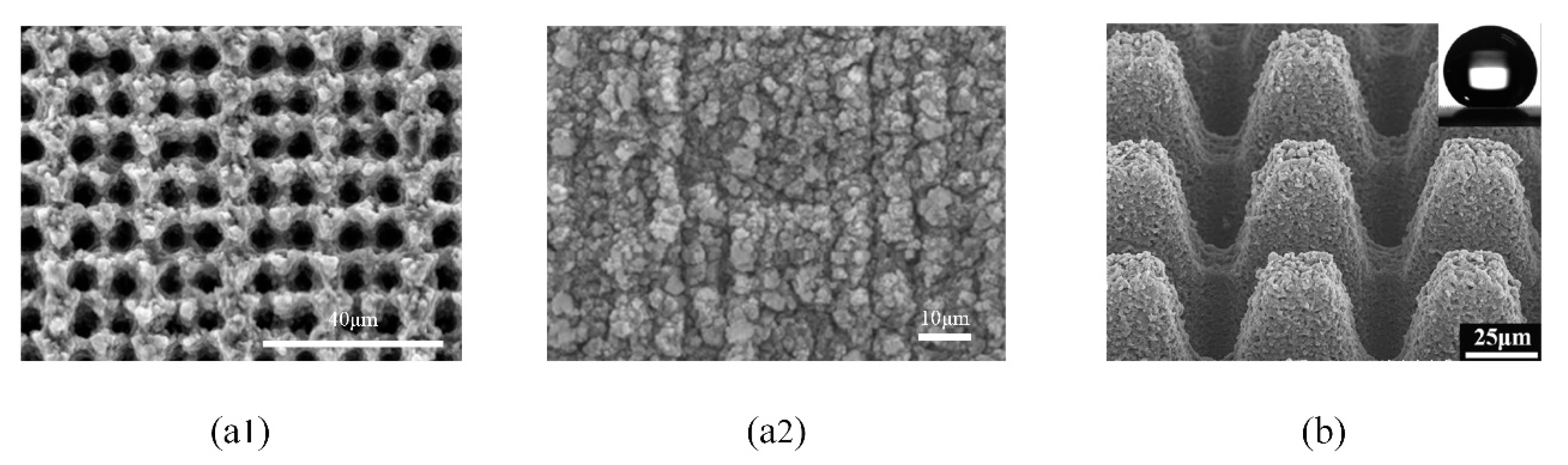 Micromachines 12 00656 g013