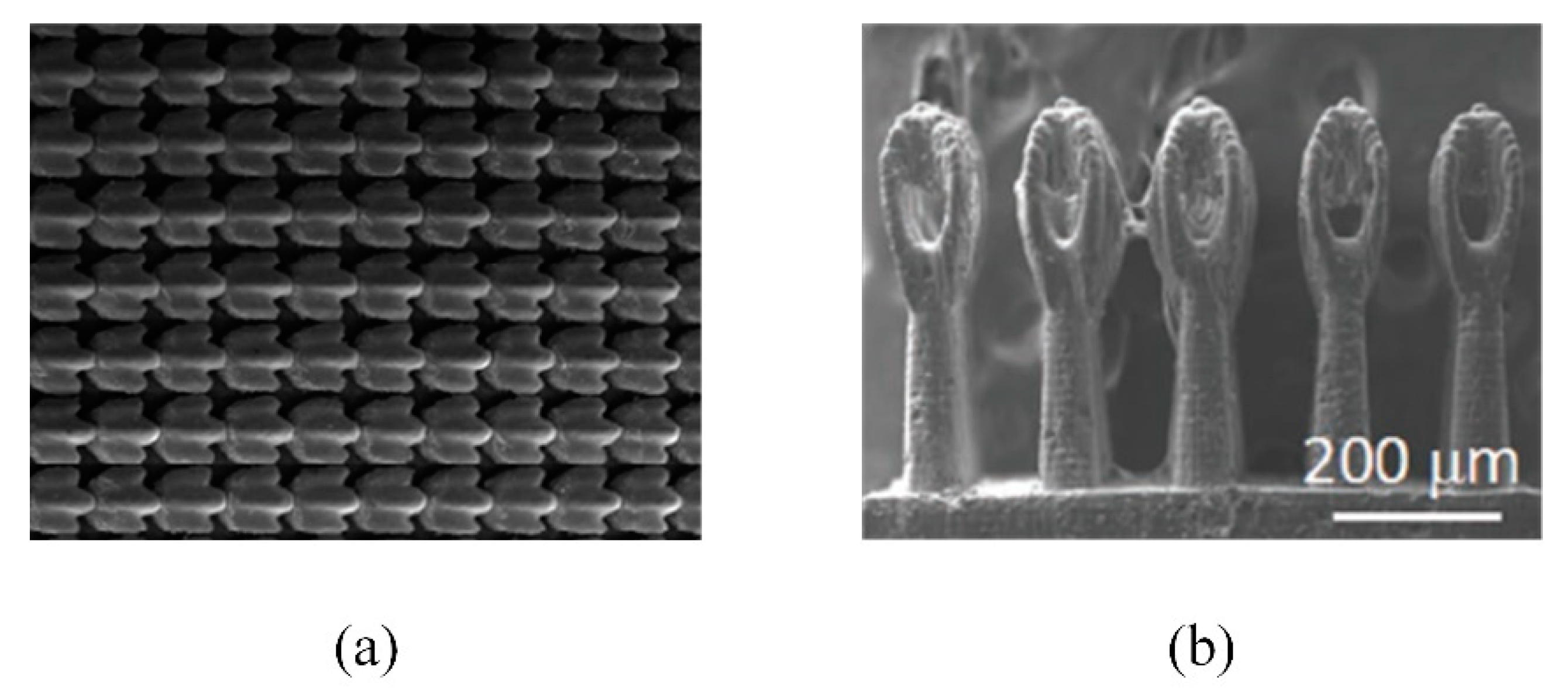 Micromachines 12 00656 g014