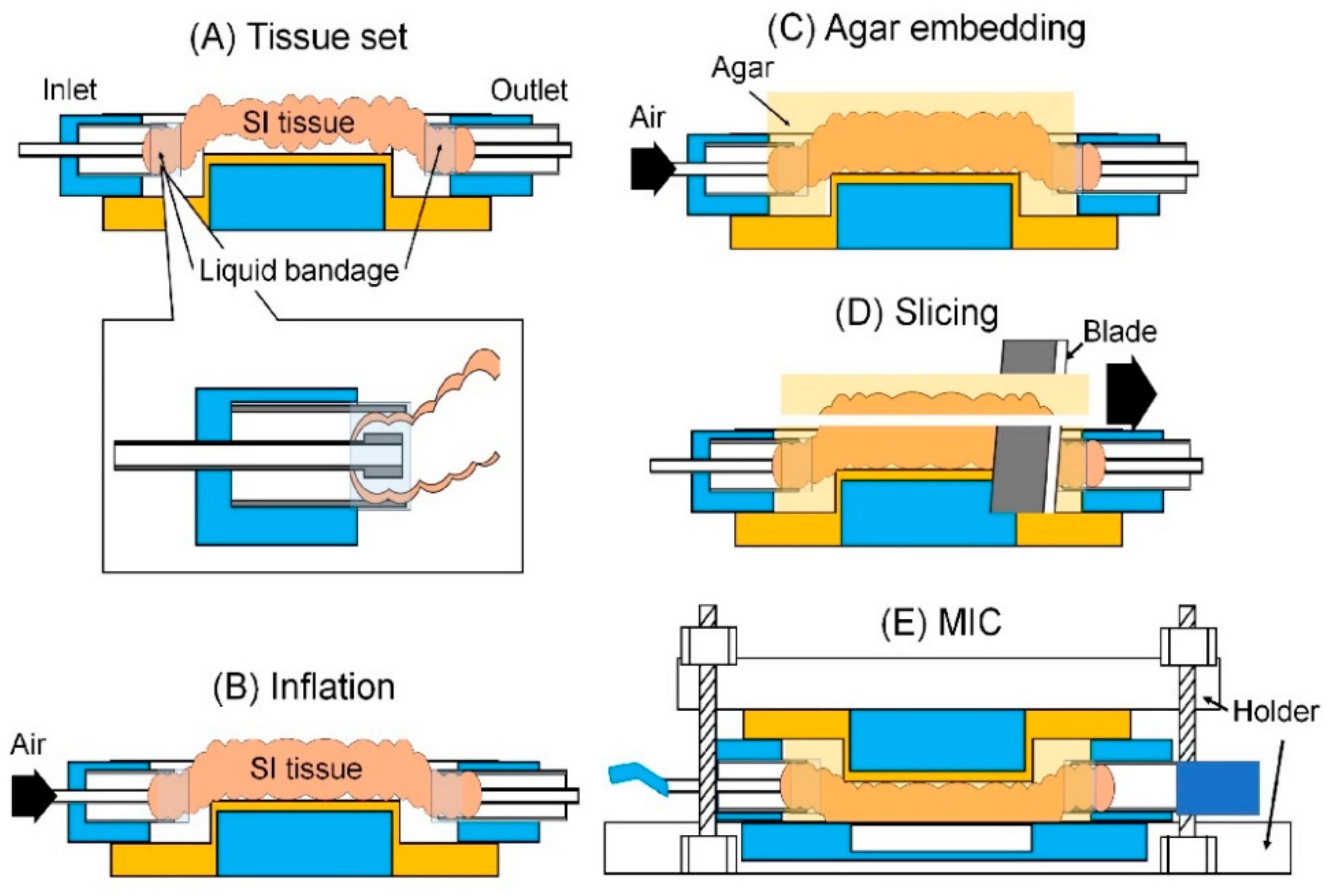 Micromachines 12 00692 g004