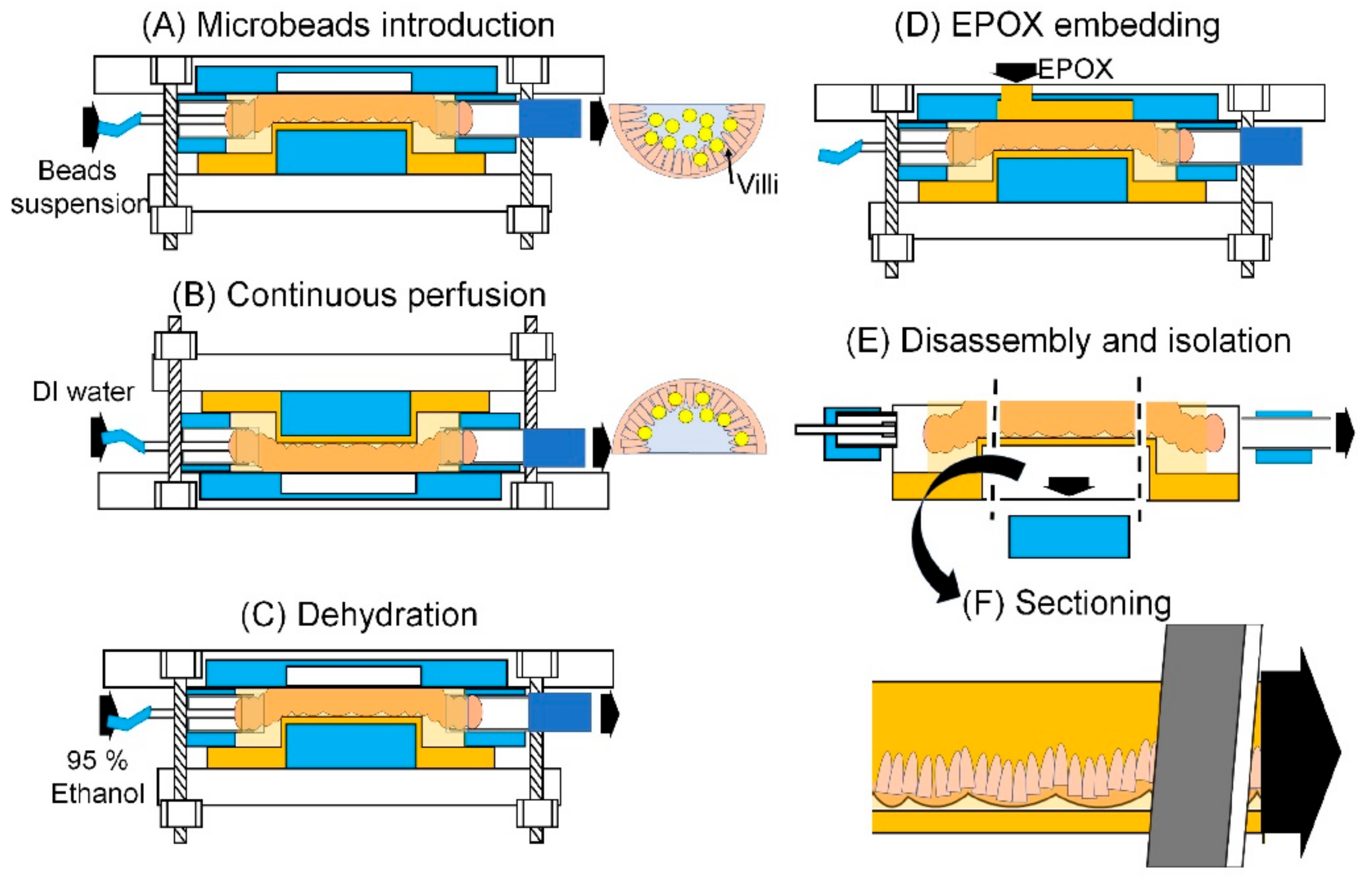 Micromachines 12 00692 g005