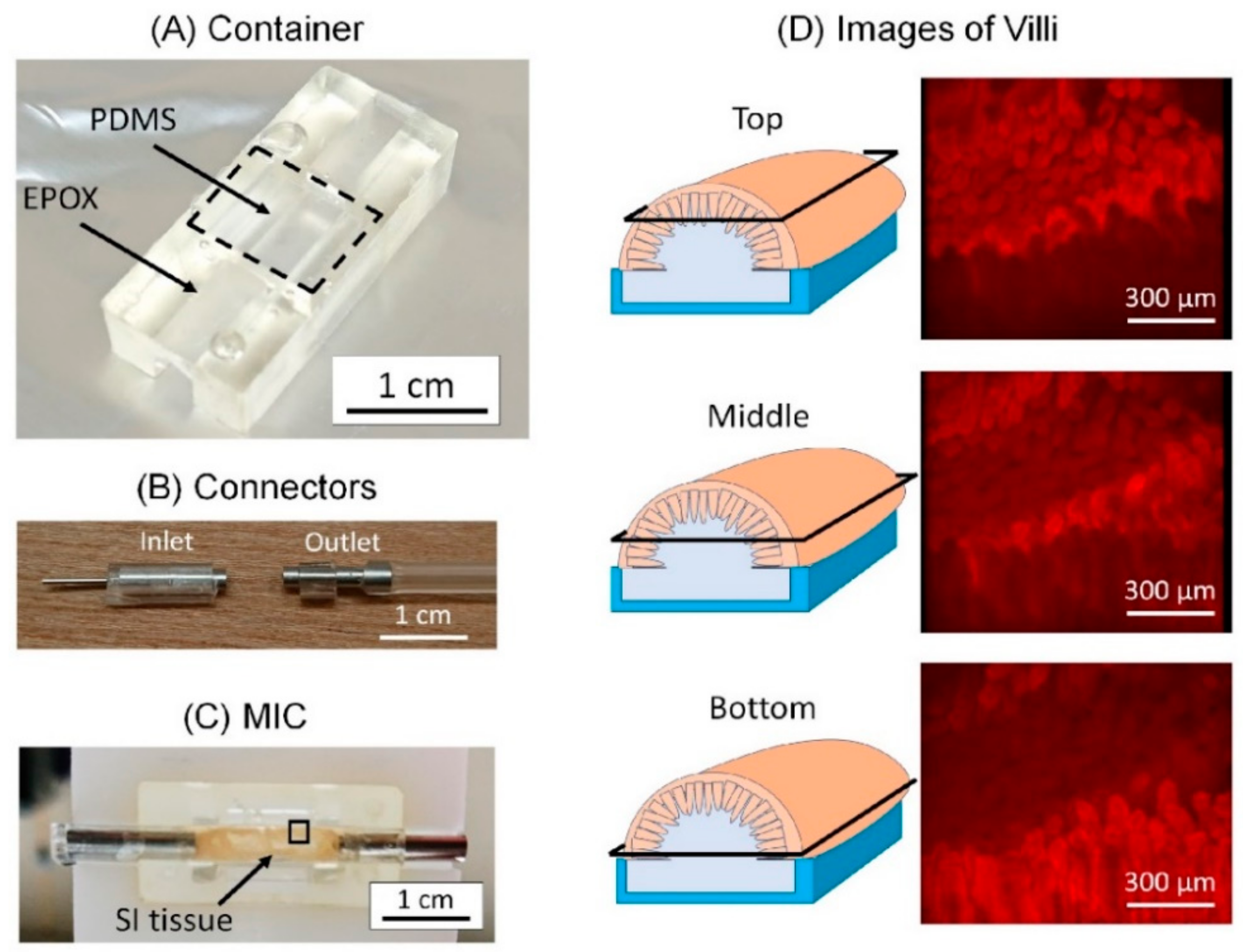 Micromachines 12 00692 g006