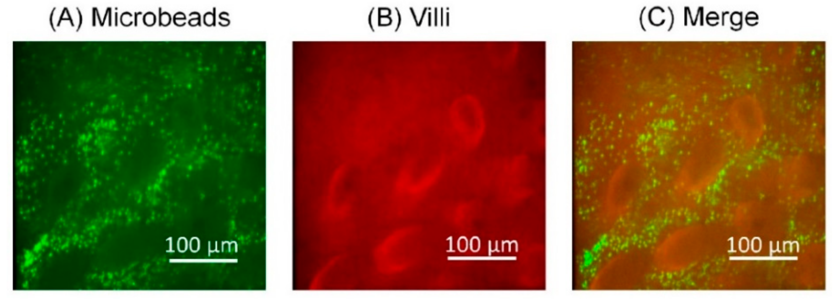 Micromachines 12 00692 g007