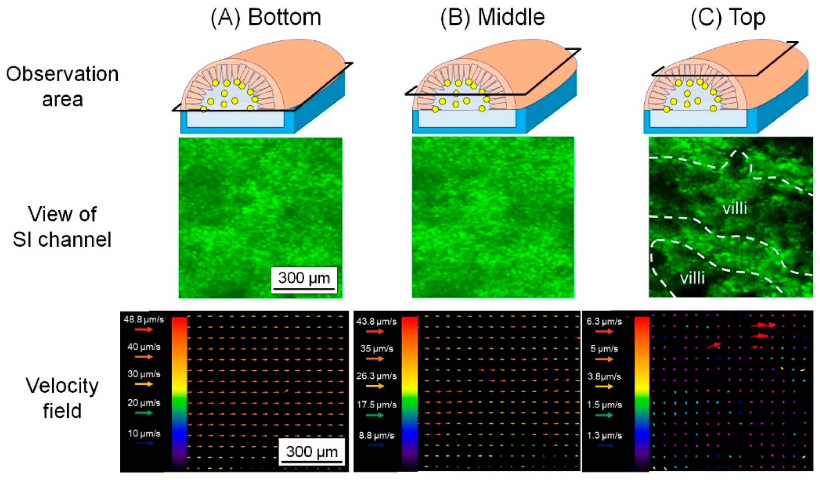 Micromachines 12 00692 g008